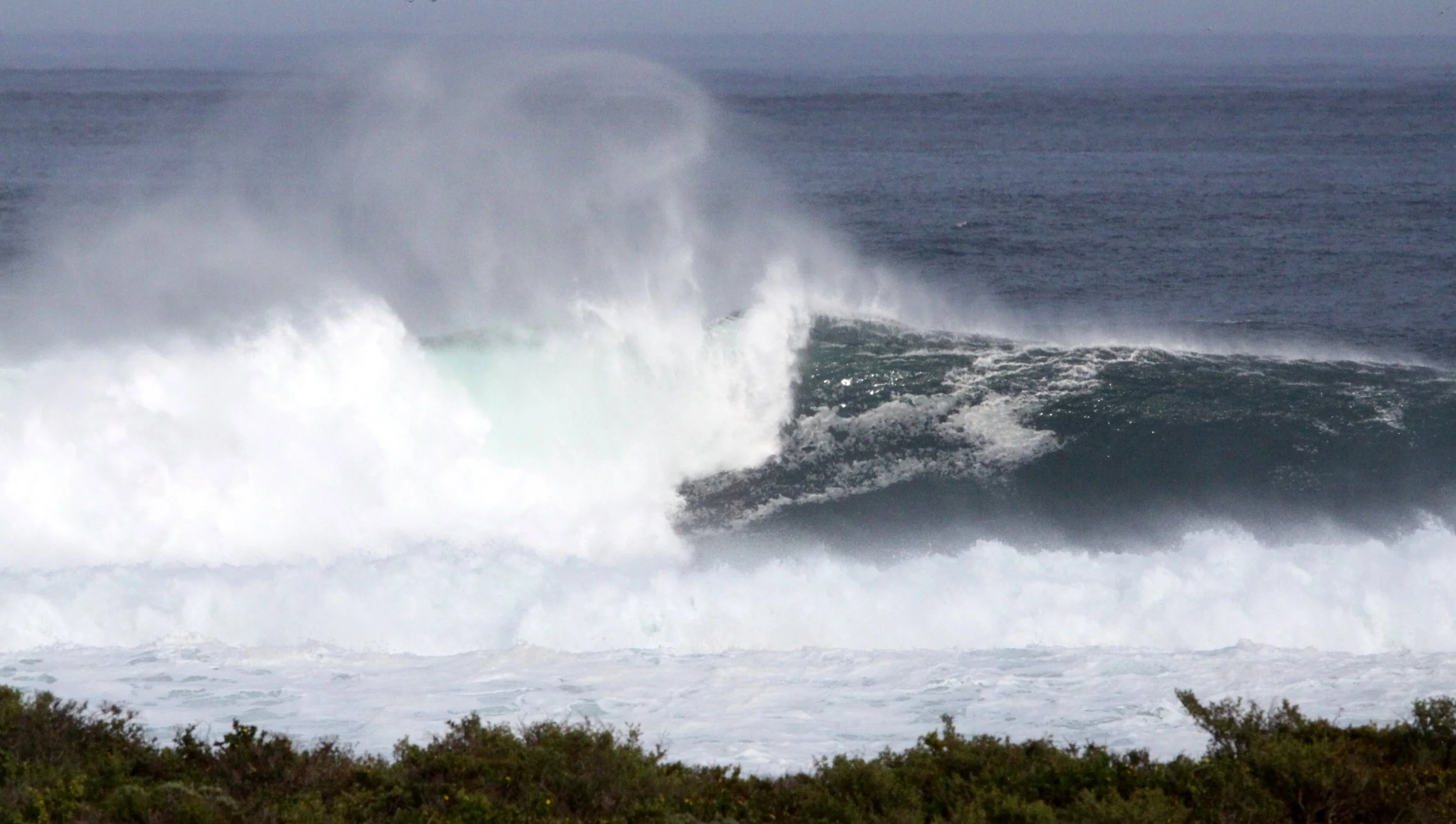 LAMBERT'S BAY SOUTH AFRICA - SURF'S UP! (19).JPG