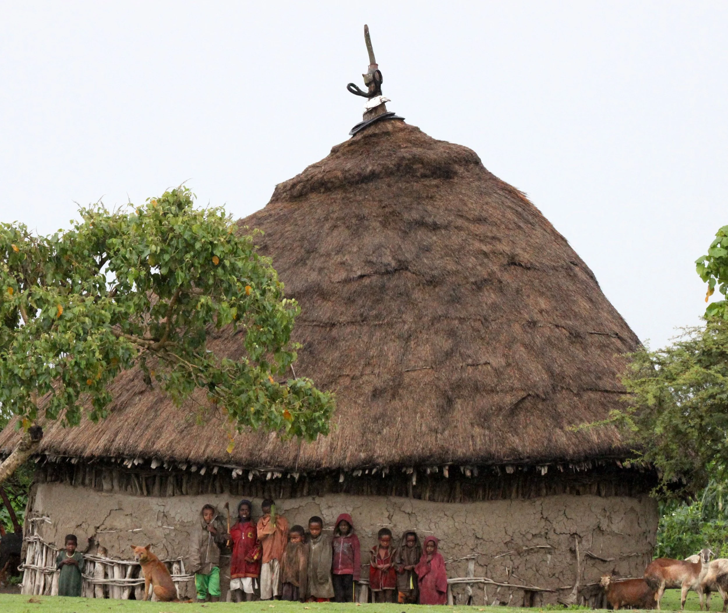 SENKELE SANCTUARY SURROUNDING VILLAGES - ETHIOPIA (2).JPG