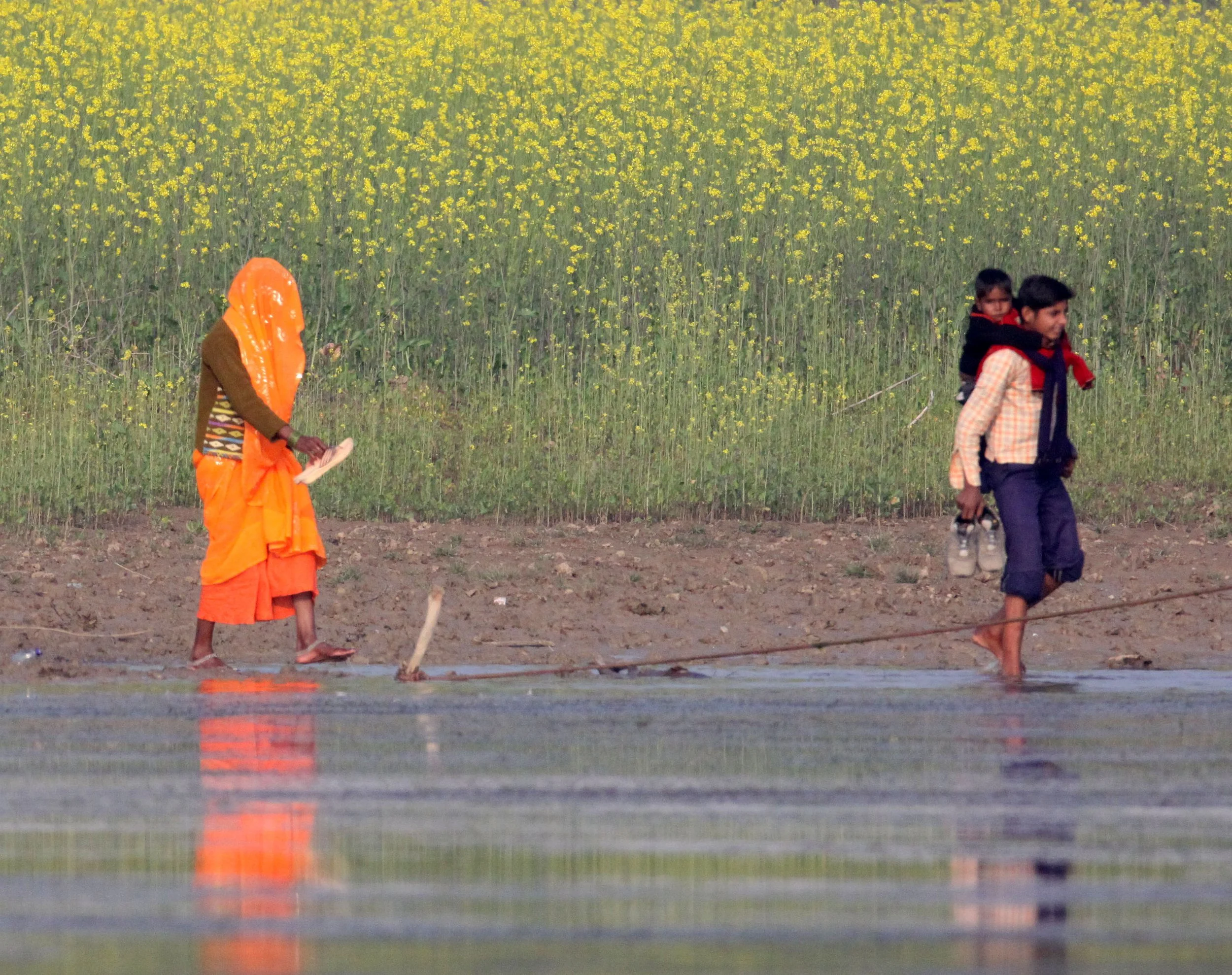 CHAMBAL SANCTUARY INDIA (42).JPG