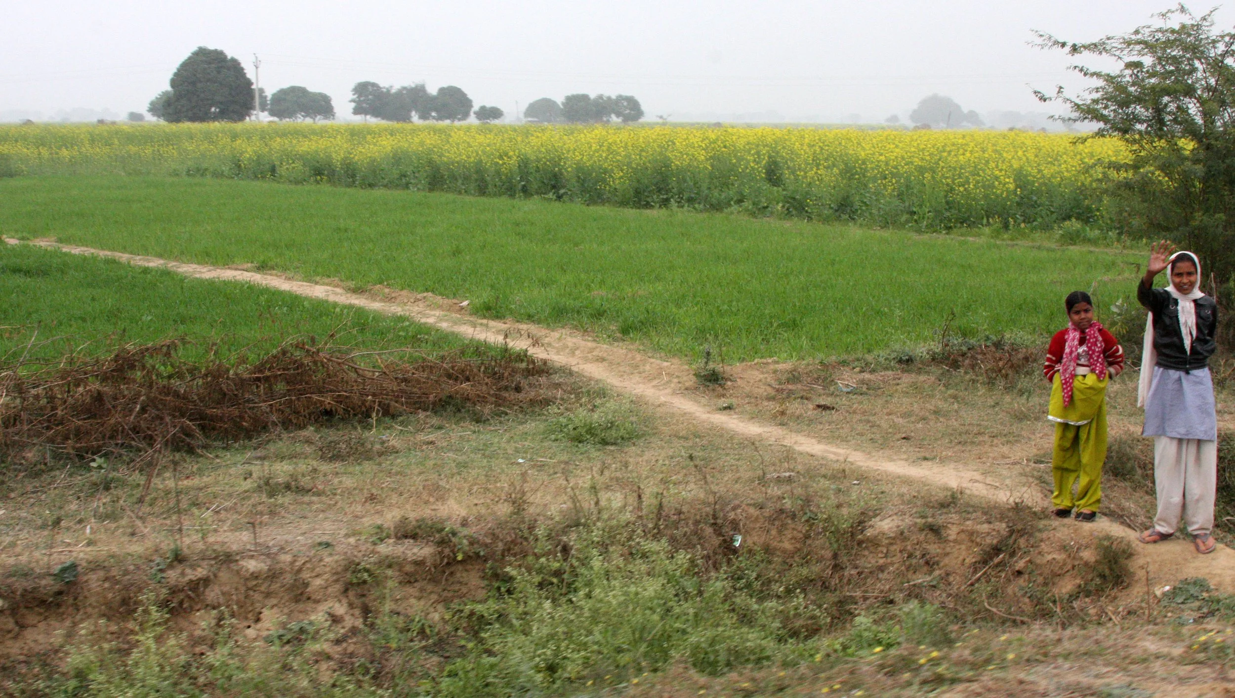 CHAMBAL RIVER SANCTUARY INDIA (14).JPG