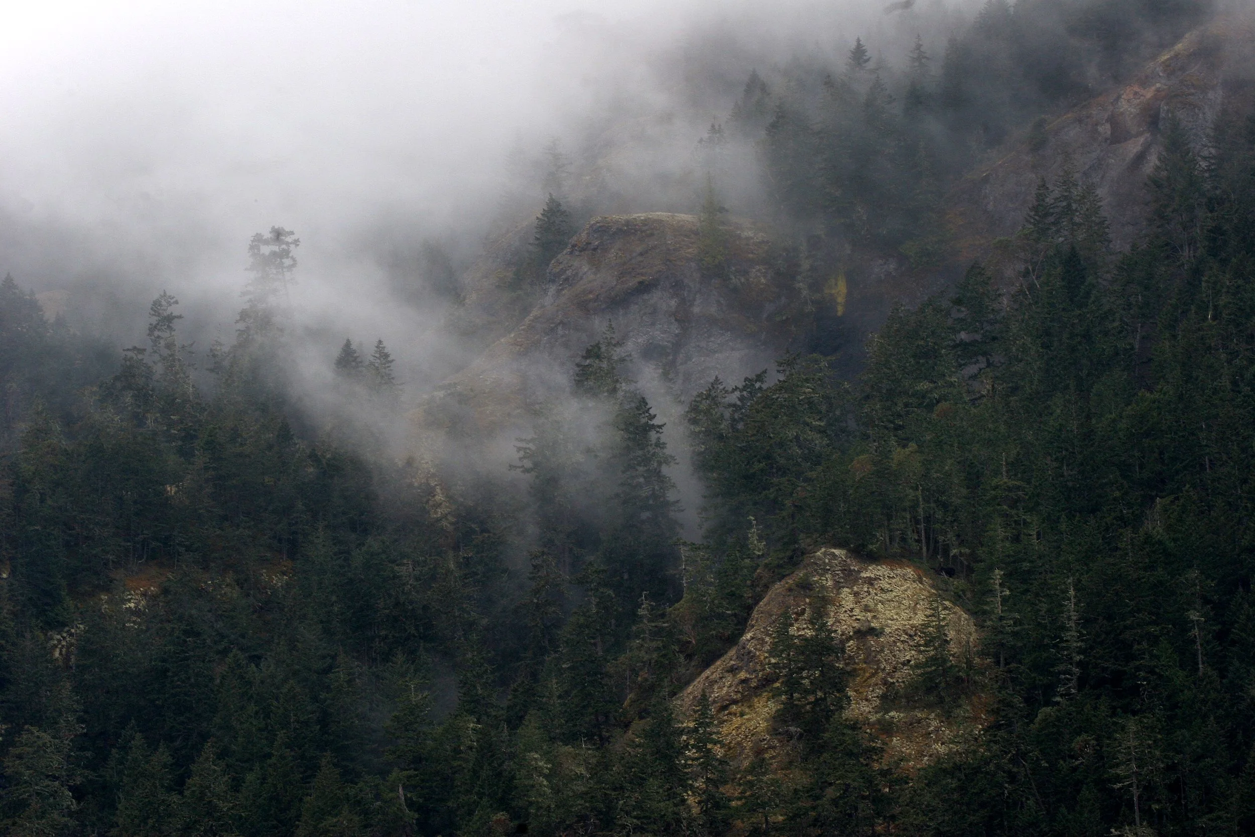 ELWHA RIVER WATERSHED (10).JPG
