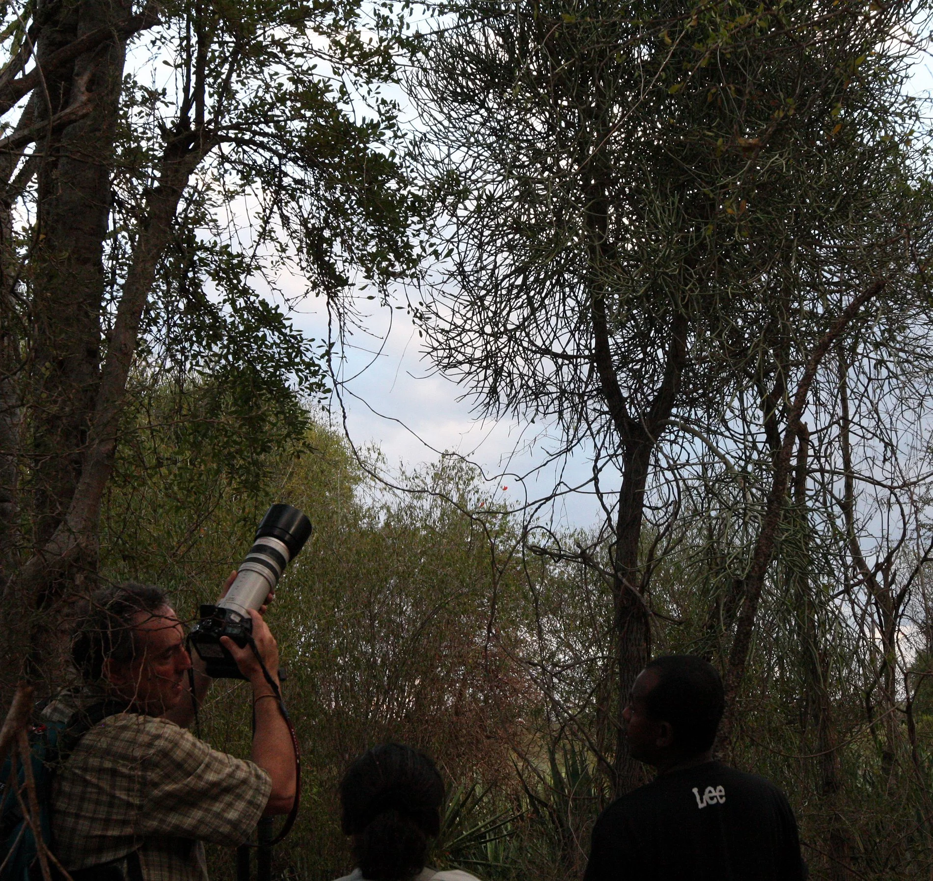 BERENTY RESERVE MADAGASCAR - PHOTOGRAPHING IN THE SPINY FOREST (2).JPG