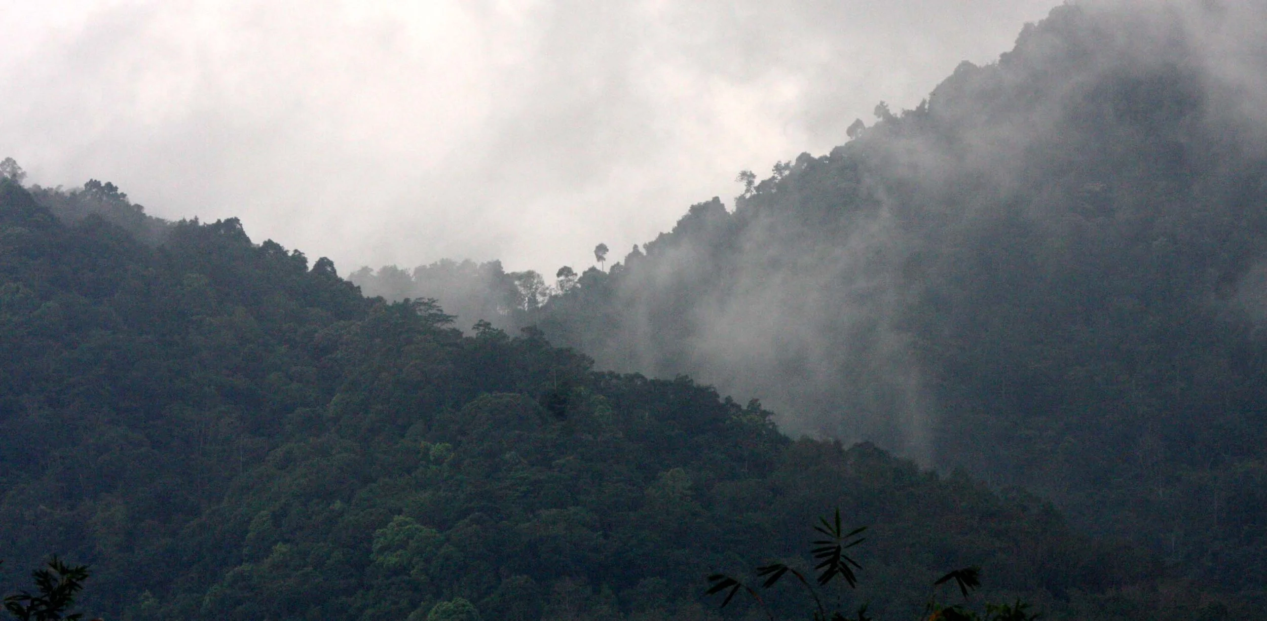 2009 Promluk Property Views (11).JPG