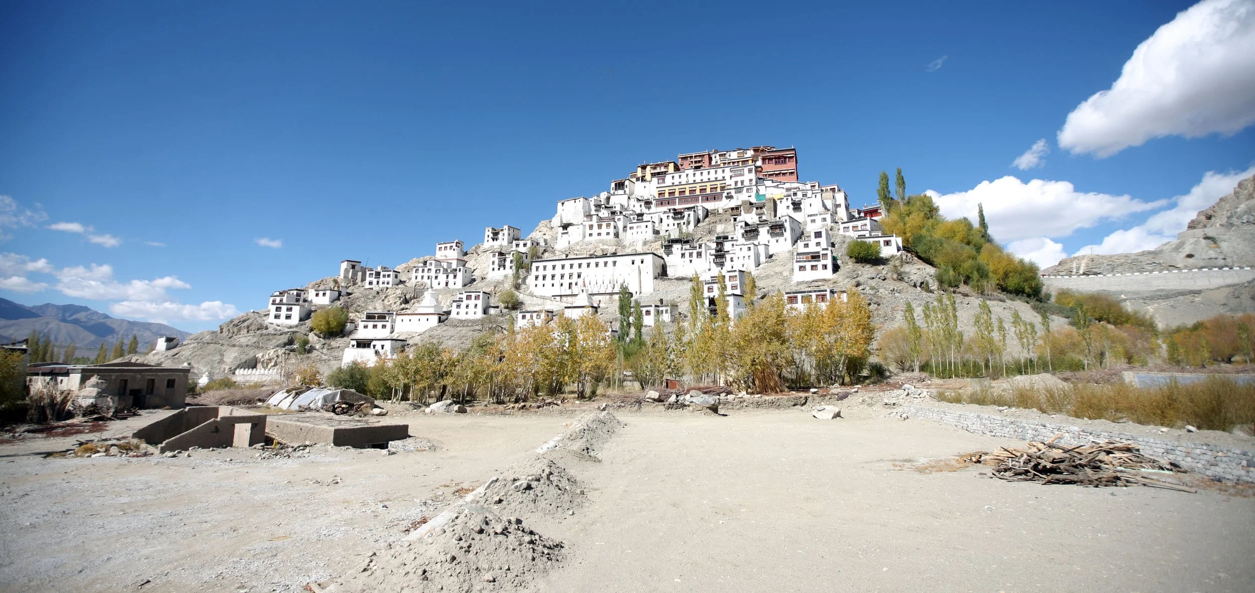 LEH - THIKSEY MONASTERY - LADAKH INDIA - SNOW LEOPARD TRIP 2013 (11).JPG