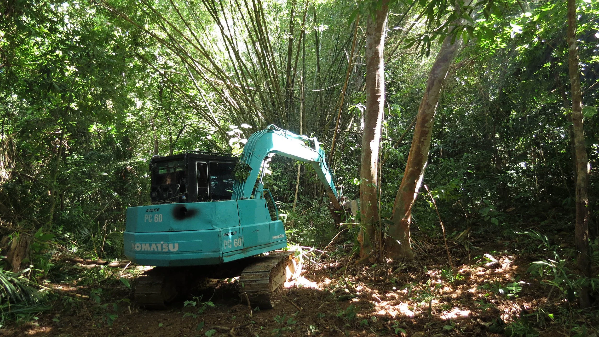 2014 Koh Lanta Build (5).JPG