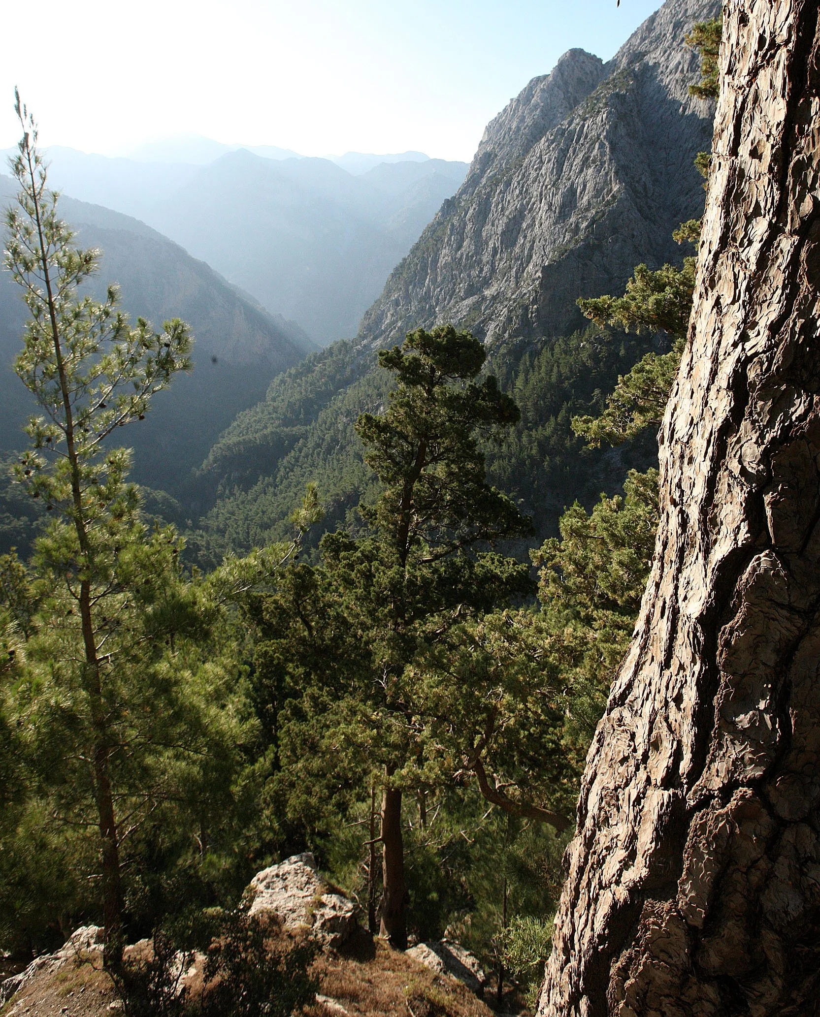 SAMARIA GORGE NATIONAL PARK CRETE (13).JPG