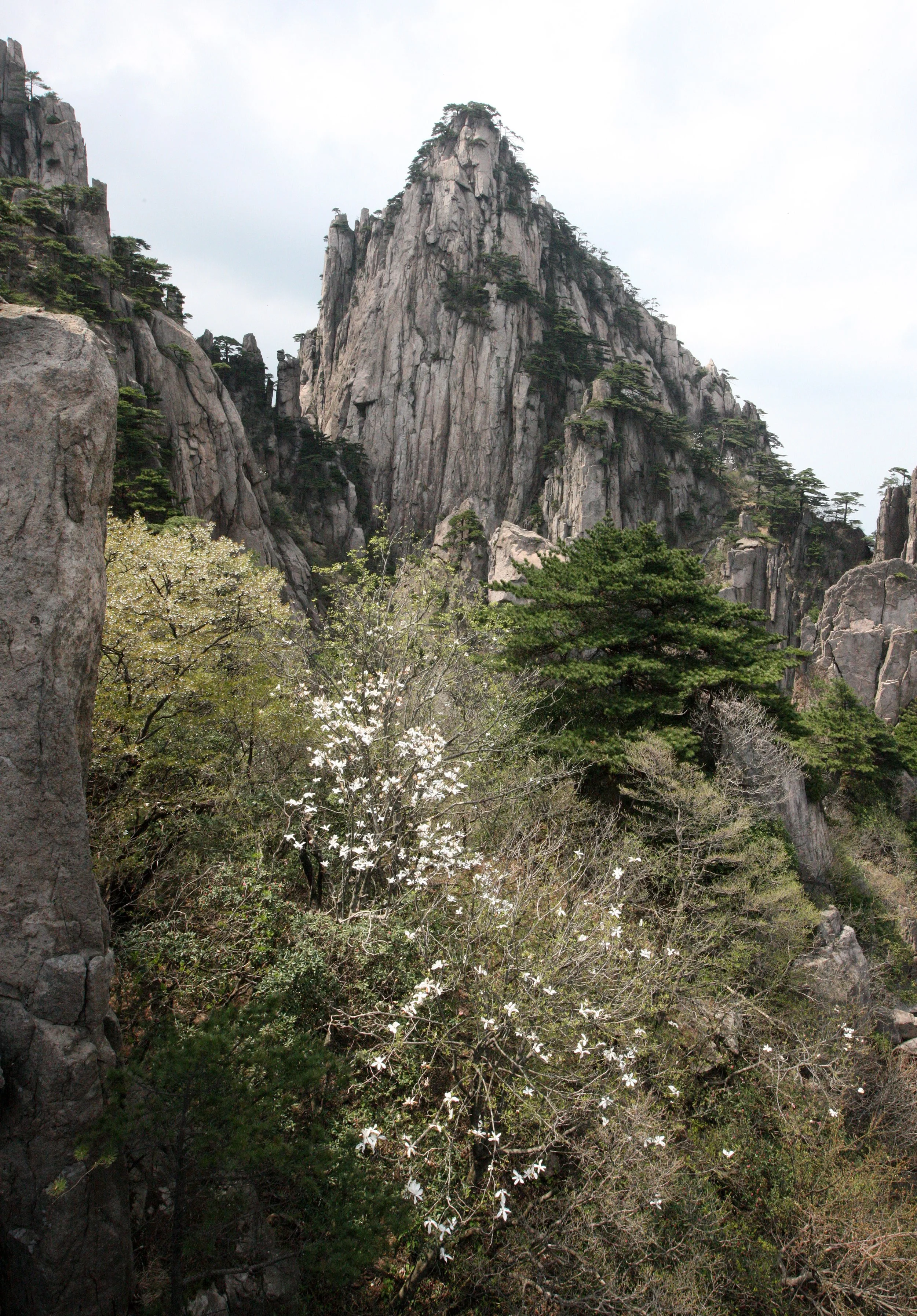 HUANGSHAN NATIONAL PARK ANHUI PROVINCE CHINA (61).JPG