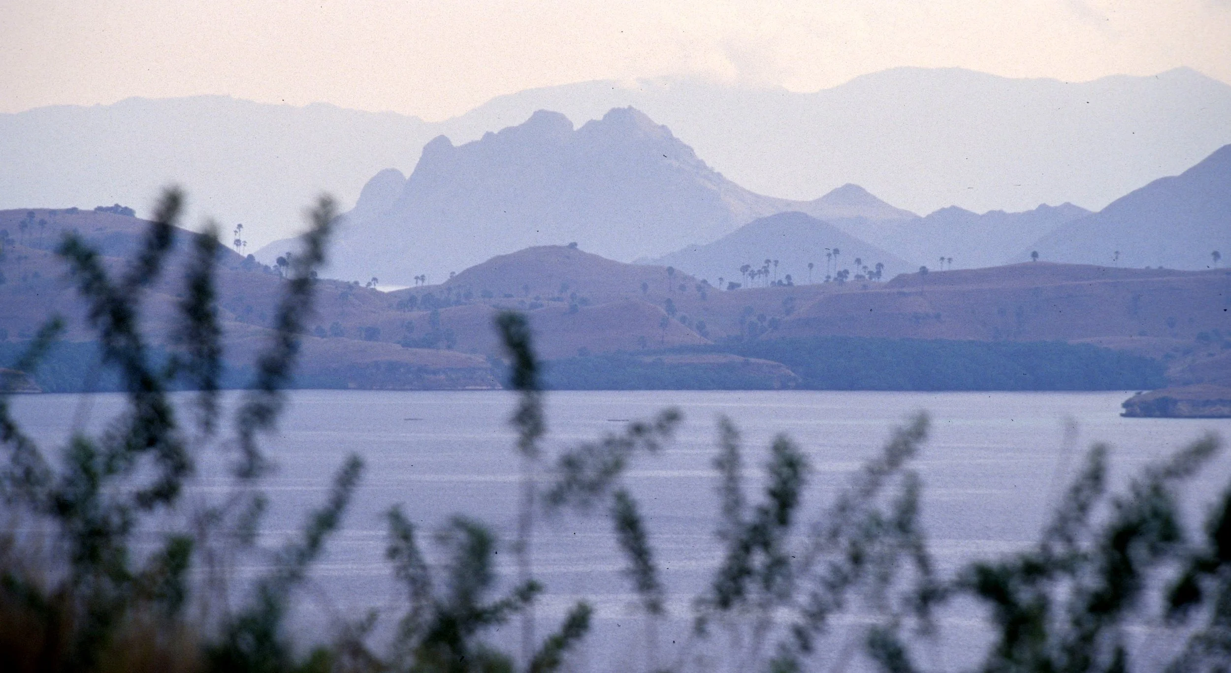 KOMODO - VIEW OF ISLAND A.jpg