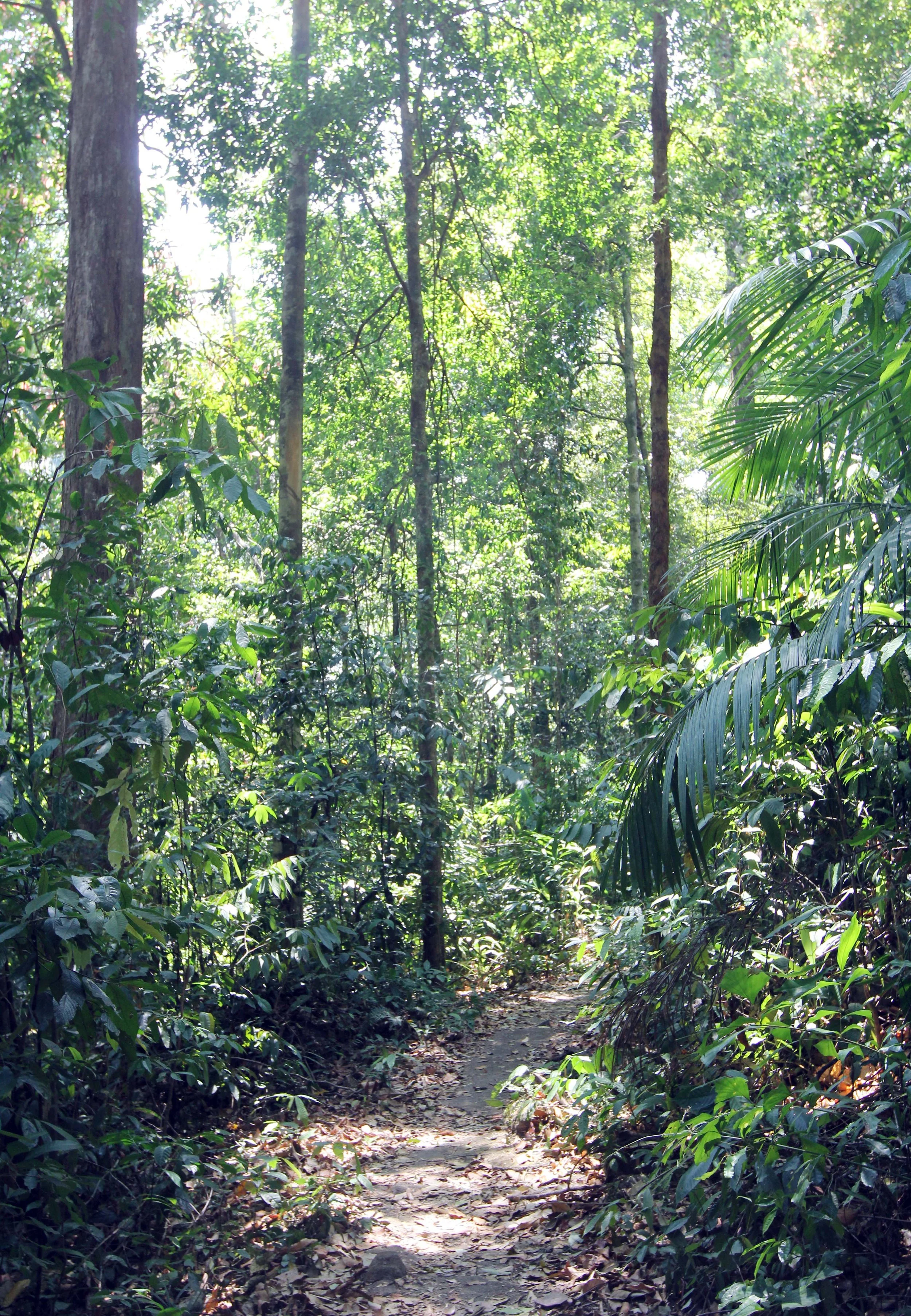 2014 ISB Trip to Tonte Falls in Trang (35).JPG