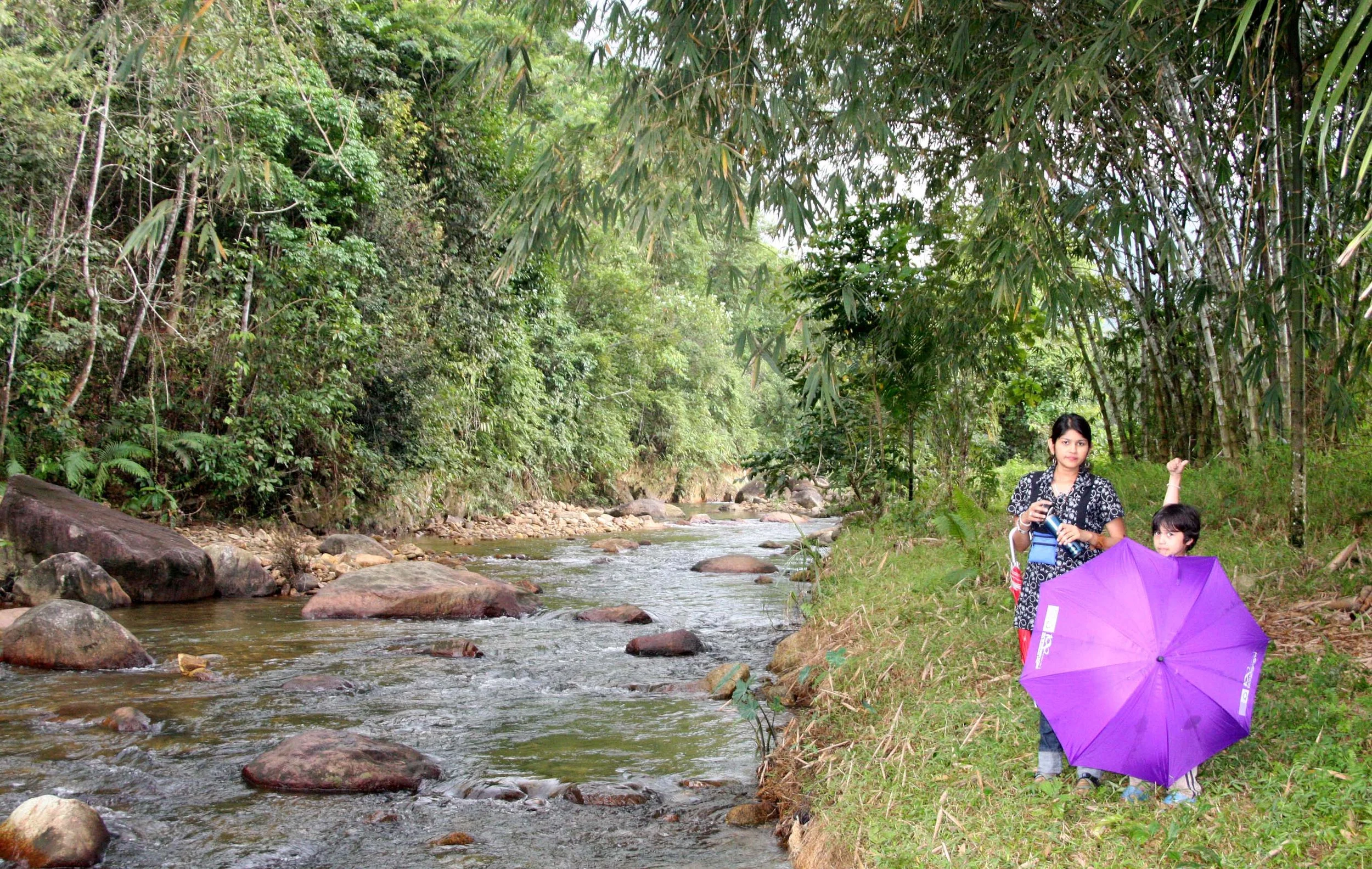 2009 Promluk Property Views (1).JPG