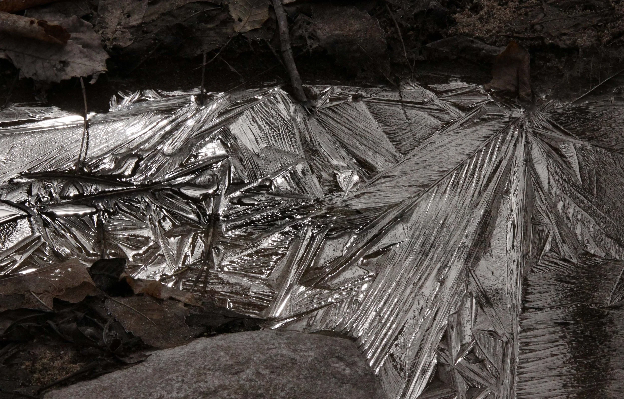 FOPING NATURE RESERVE - SHAANXI PROVINCE CHINA (251).JPG