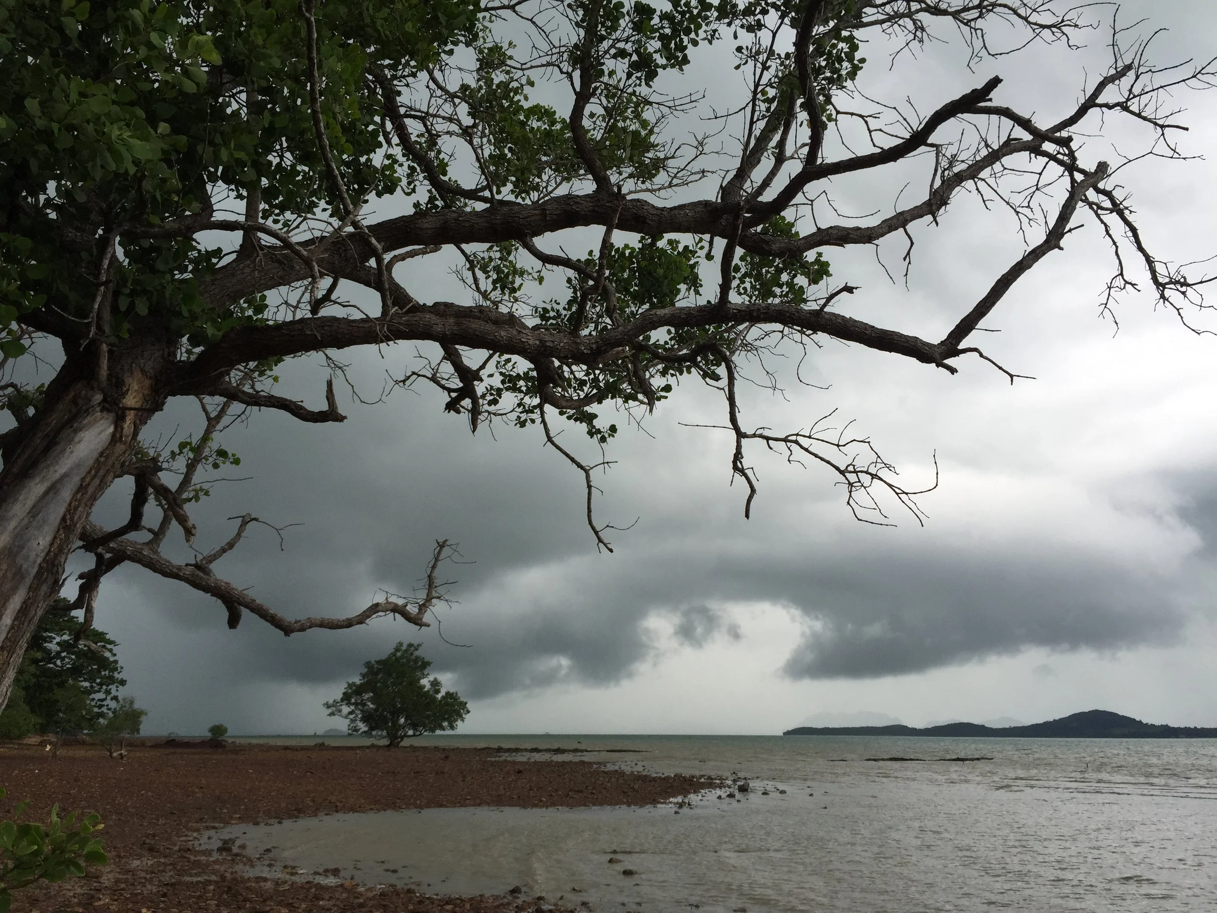 2015 Koh Lanta Garden & Nature (230).JPG