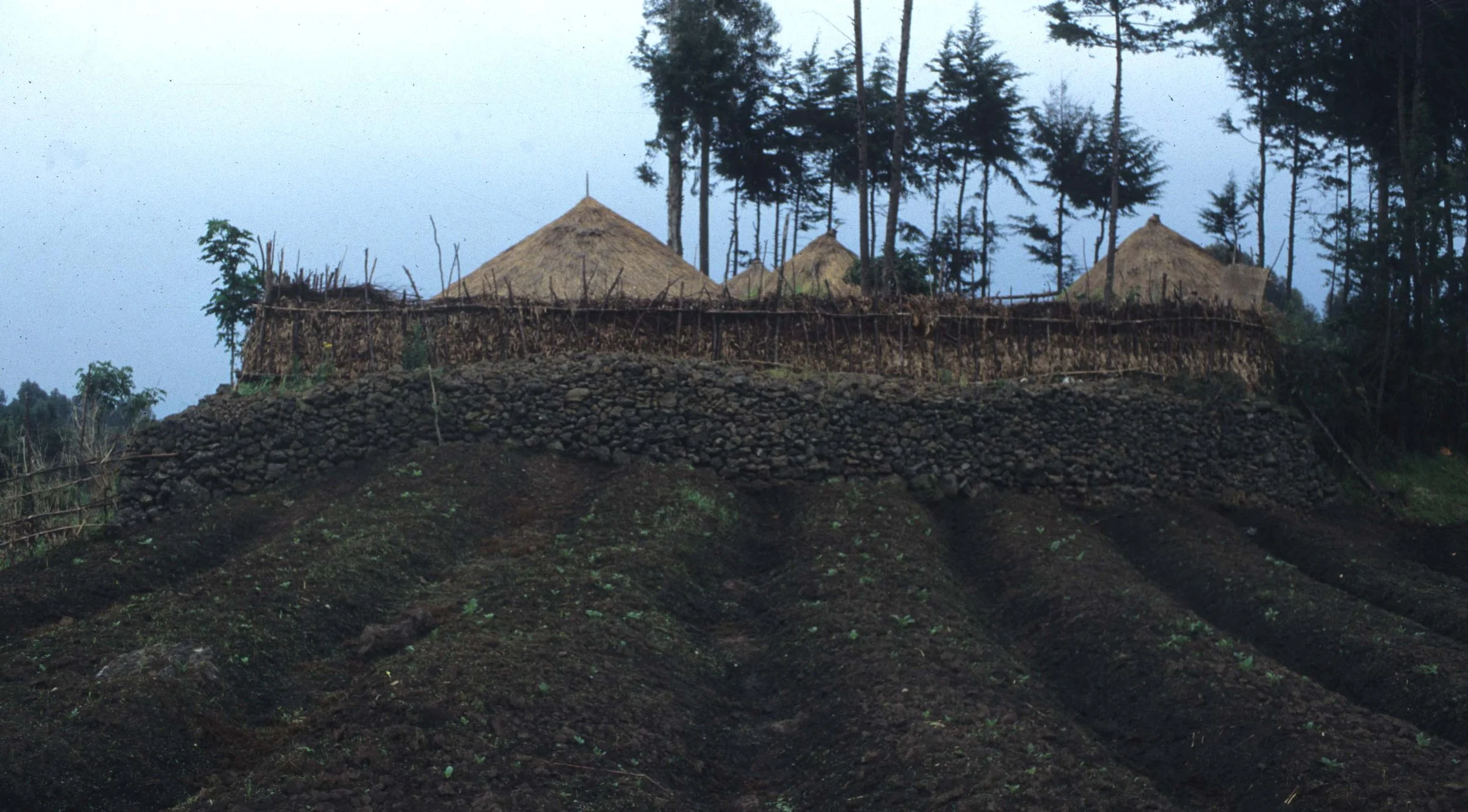RWANDA COUNTRYSIDE 7.jpg