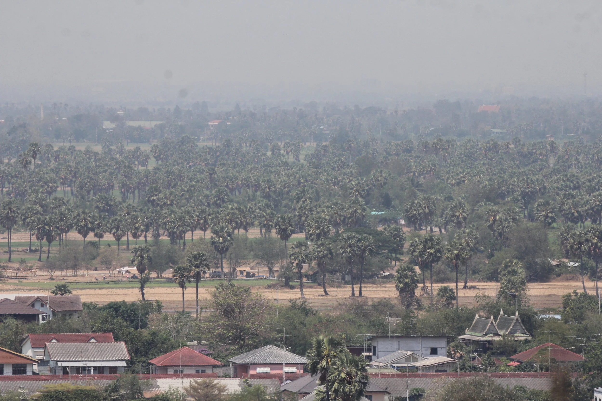 2020 Petchaburi Temple Trip with Cokie (61).JPG