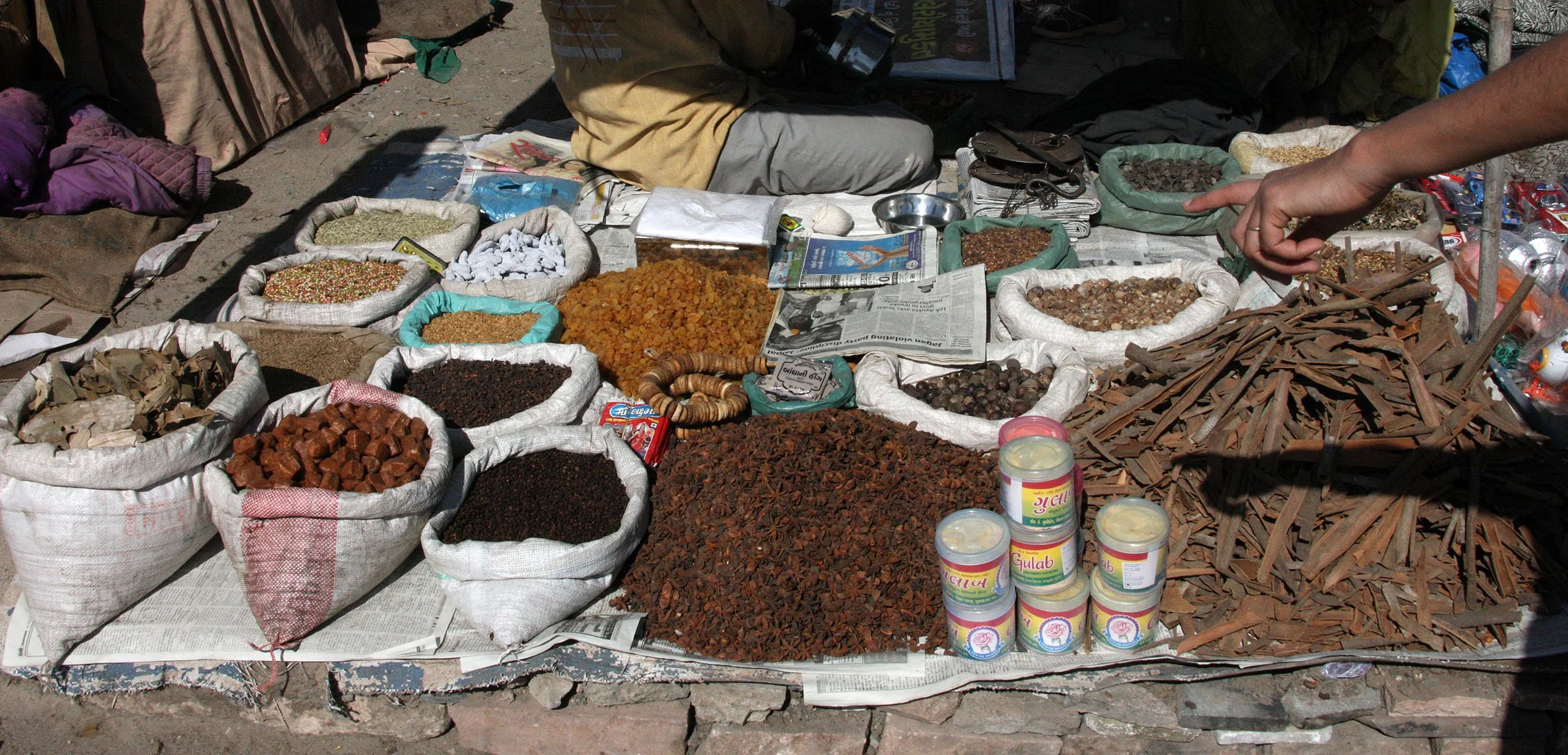 GUJARAT - SOMNATH TEMPLE AND TOWN - INDIA (43).JPG