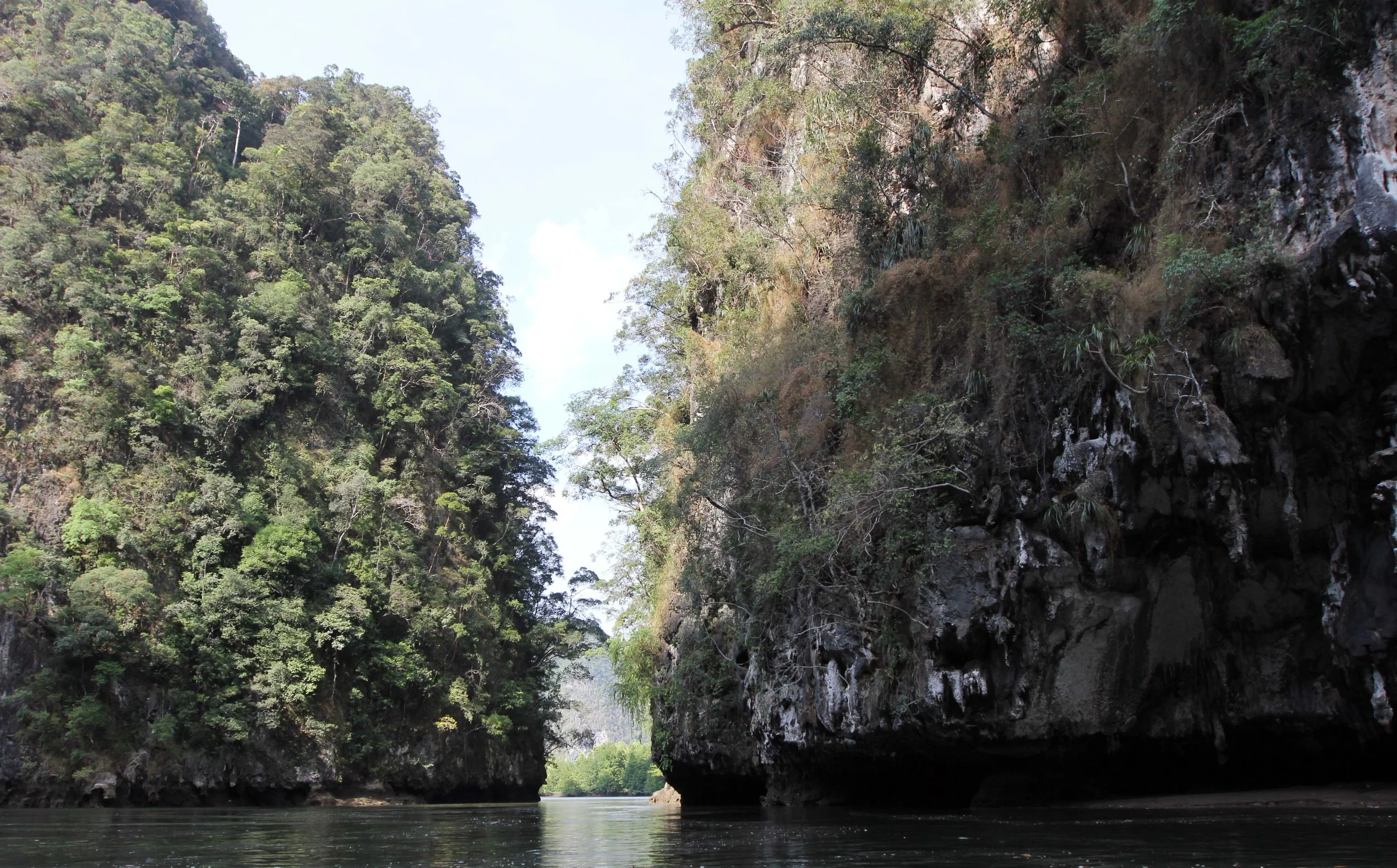 2014 ISB Trip to Khao Sok National Park Karos Island Ao Luek (58).JPG