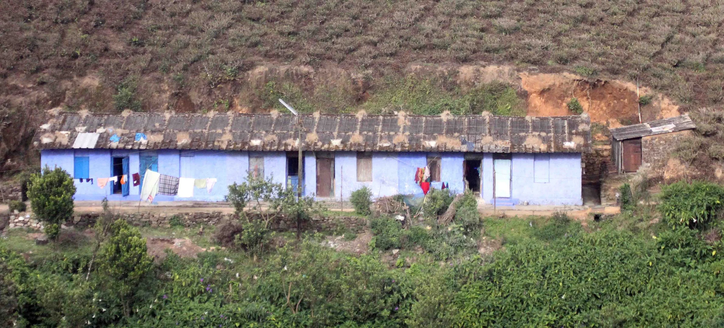 Valparai & Anamalai Hills National Park