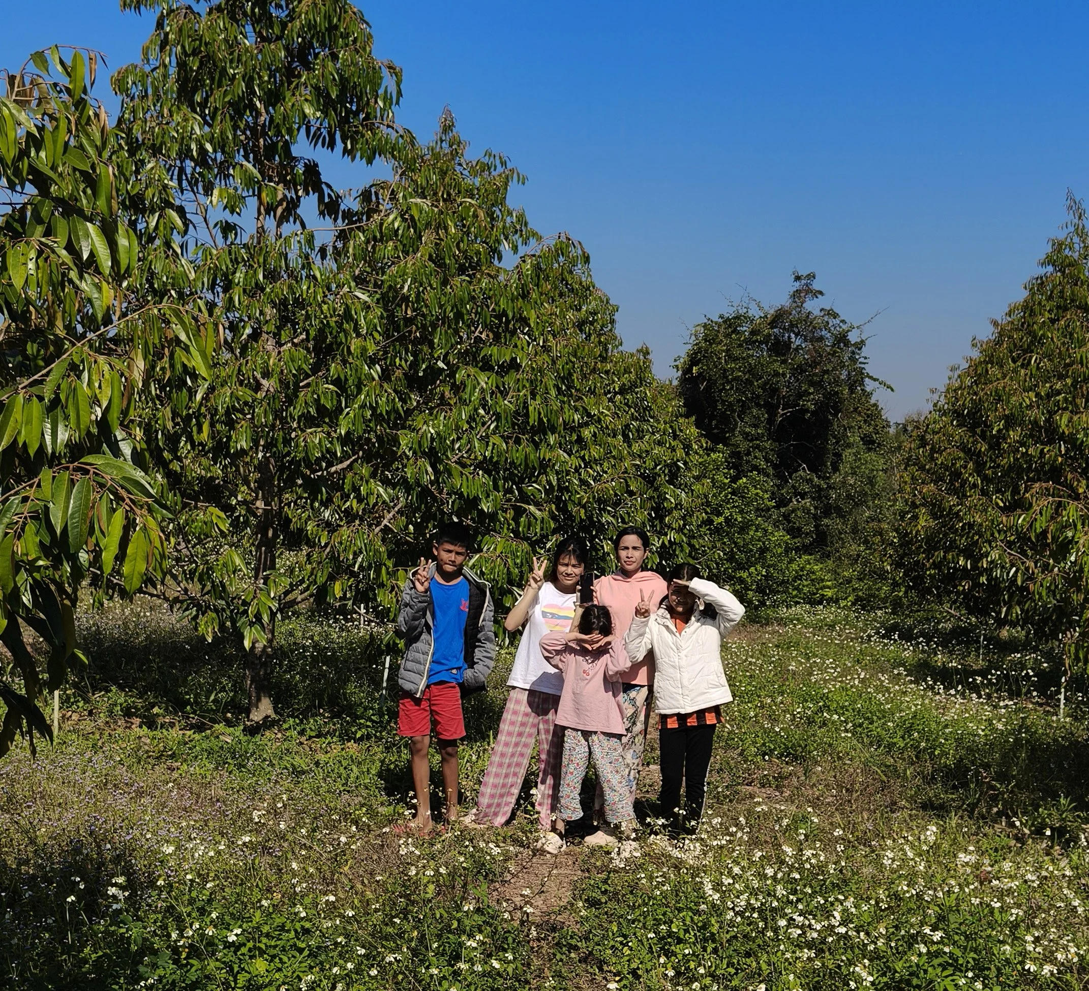 Ngao Durian Farm January 1 2026 (9).jpg