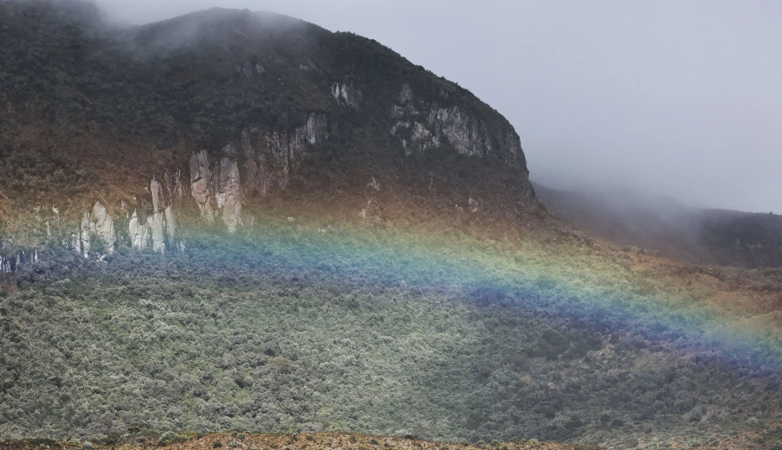 Antisana National Park, Eastern Andes Ecuador (509).jpg