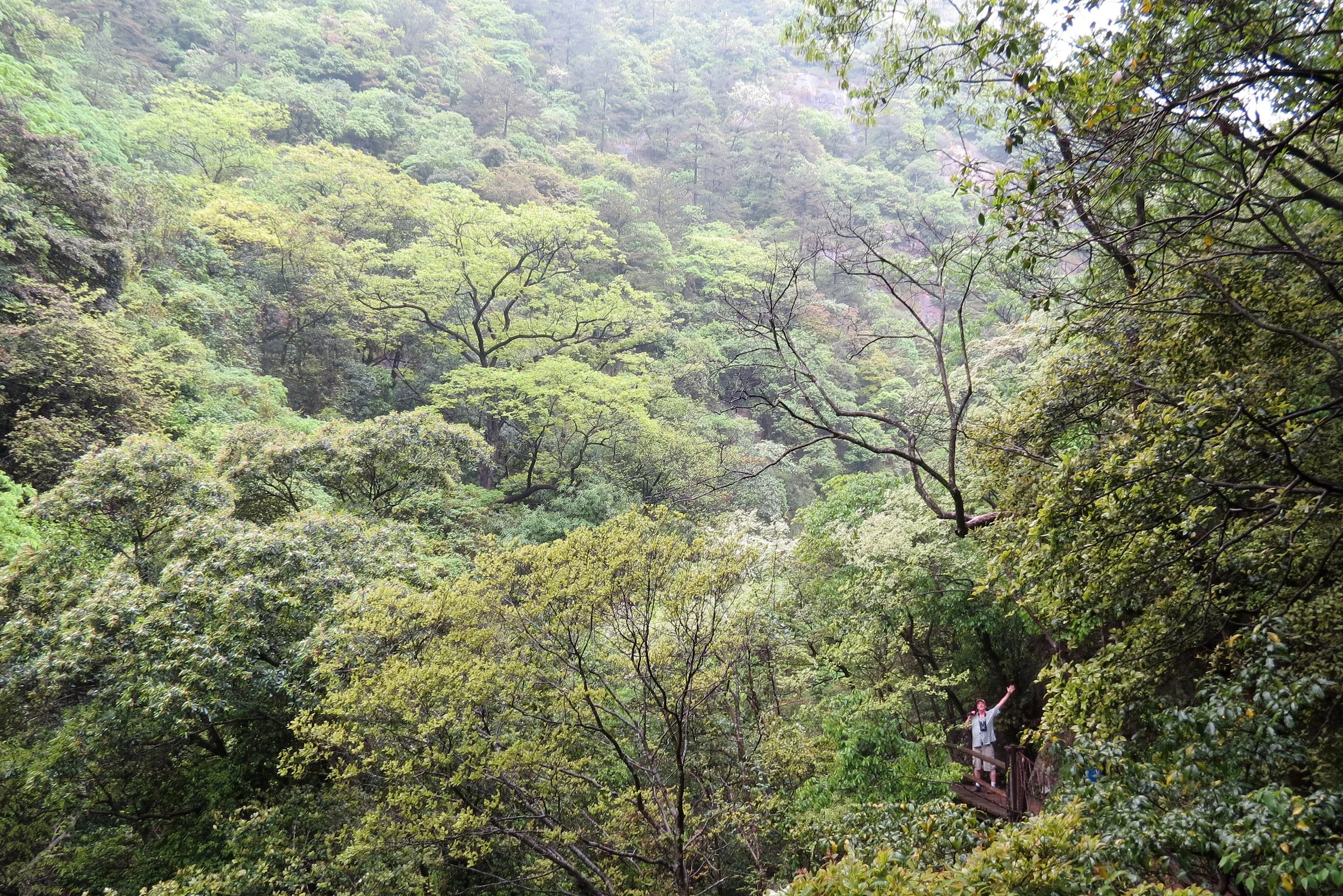 GUNIUJIANG NATURE RESERVE - ANHUI PROVINCE CHINA (69).JPG