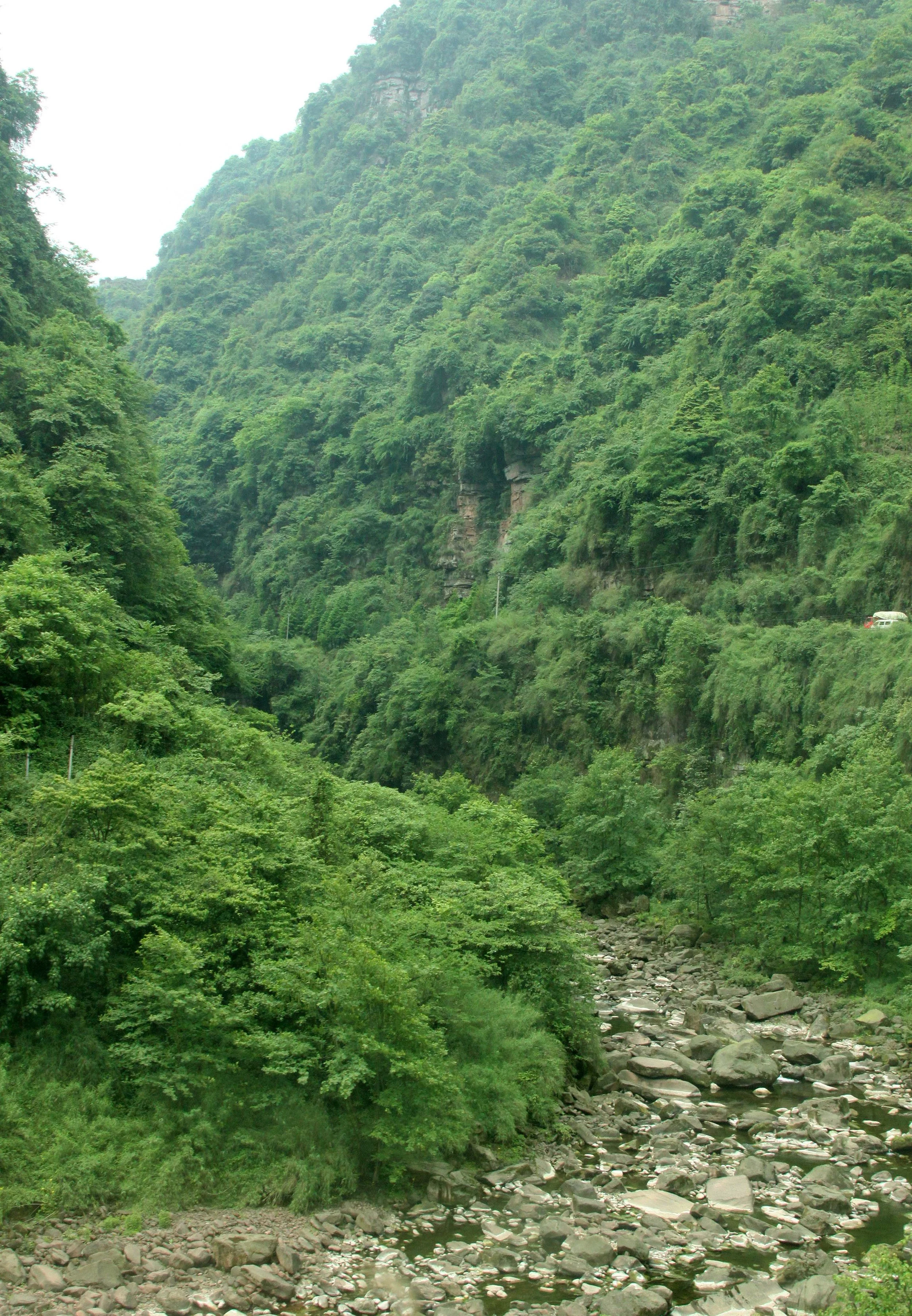 BIFENGXIA GORGE - SICHUAN CHINA (5).JPG