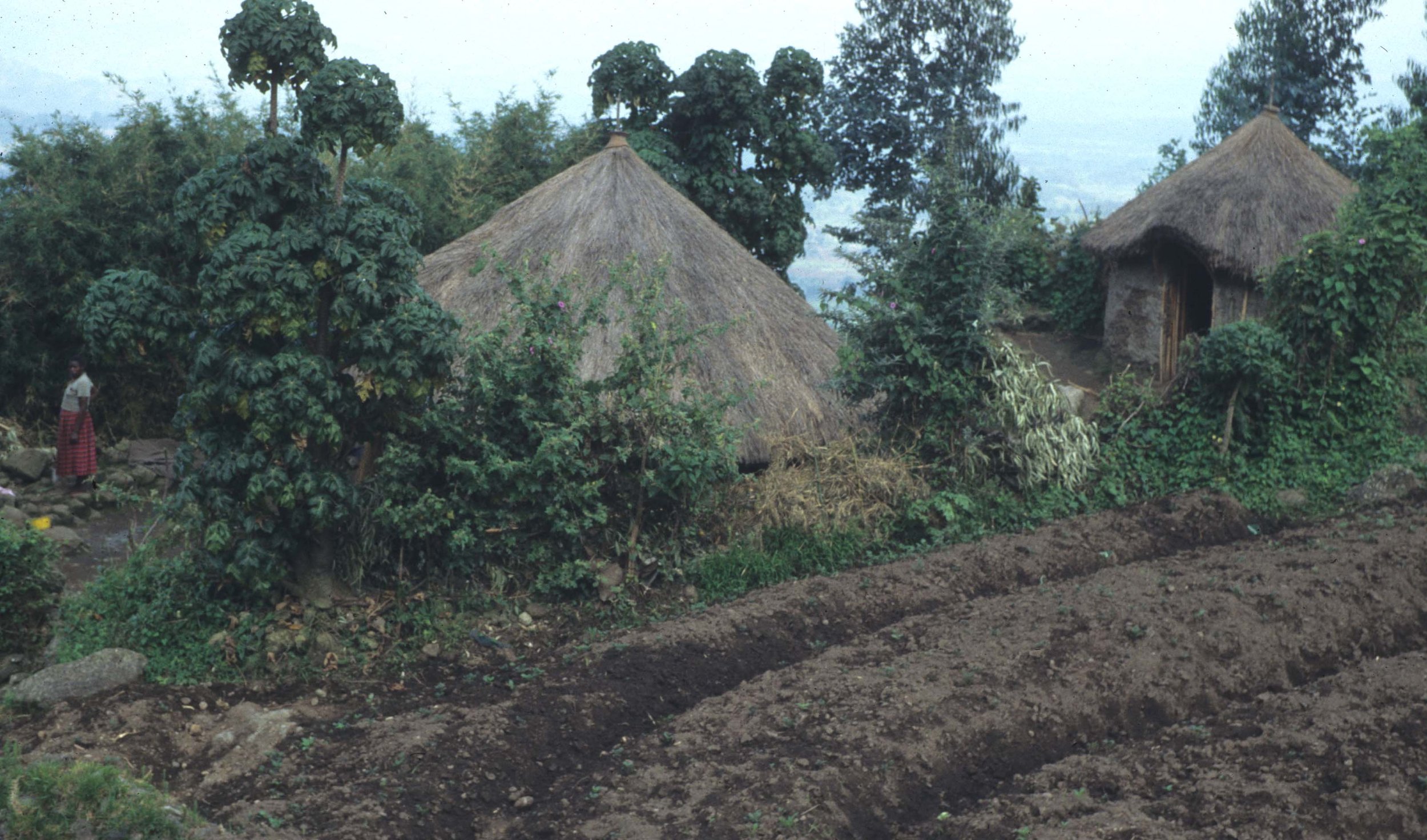RWANDA COUNTRYSIDE 8.jpg
