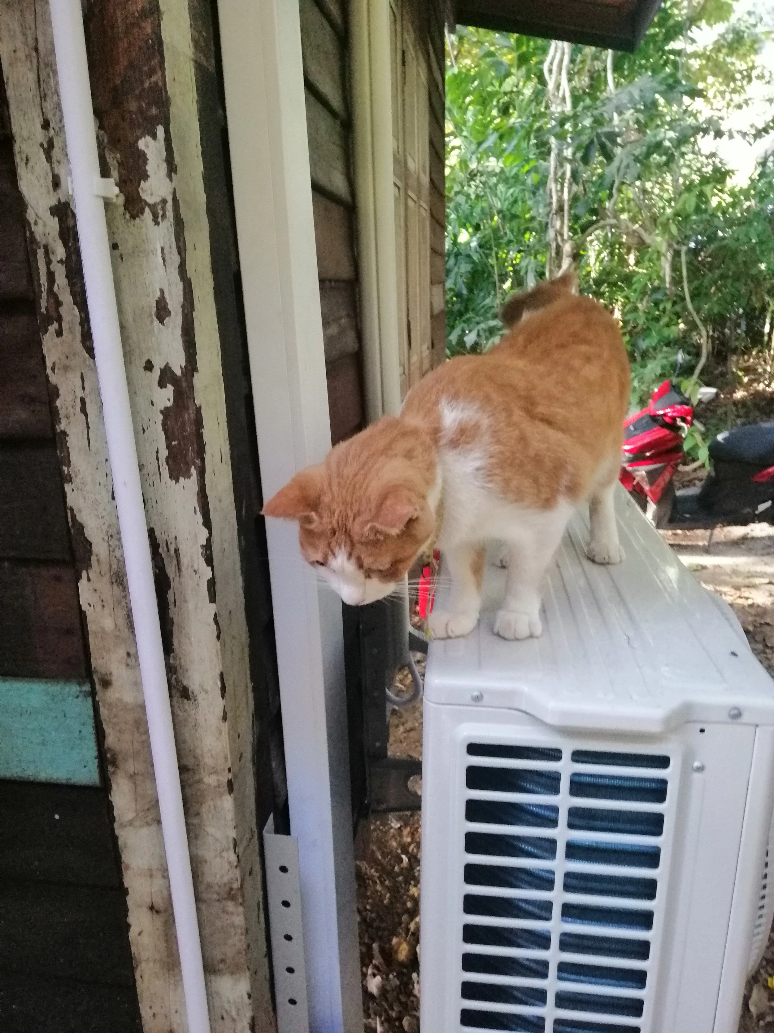 2018 Koh Lanta Misc  (130).jpg