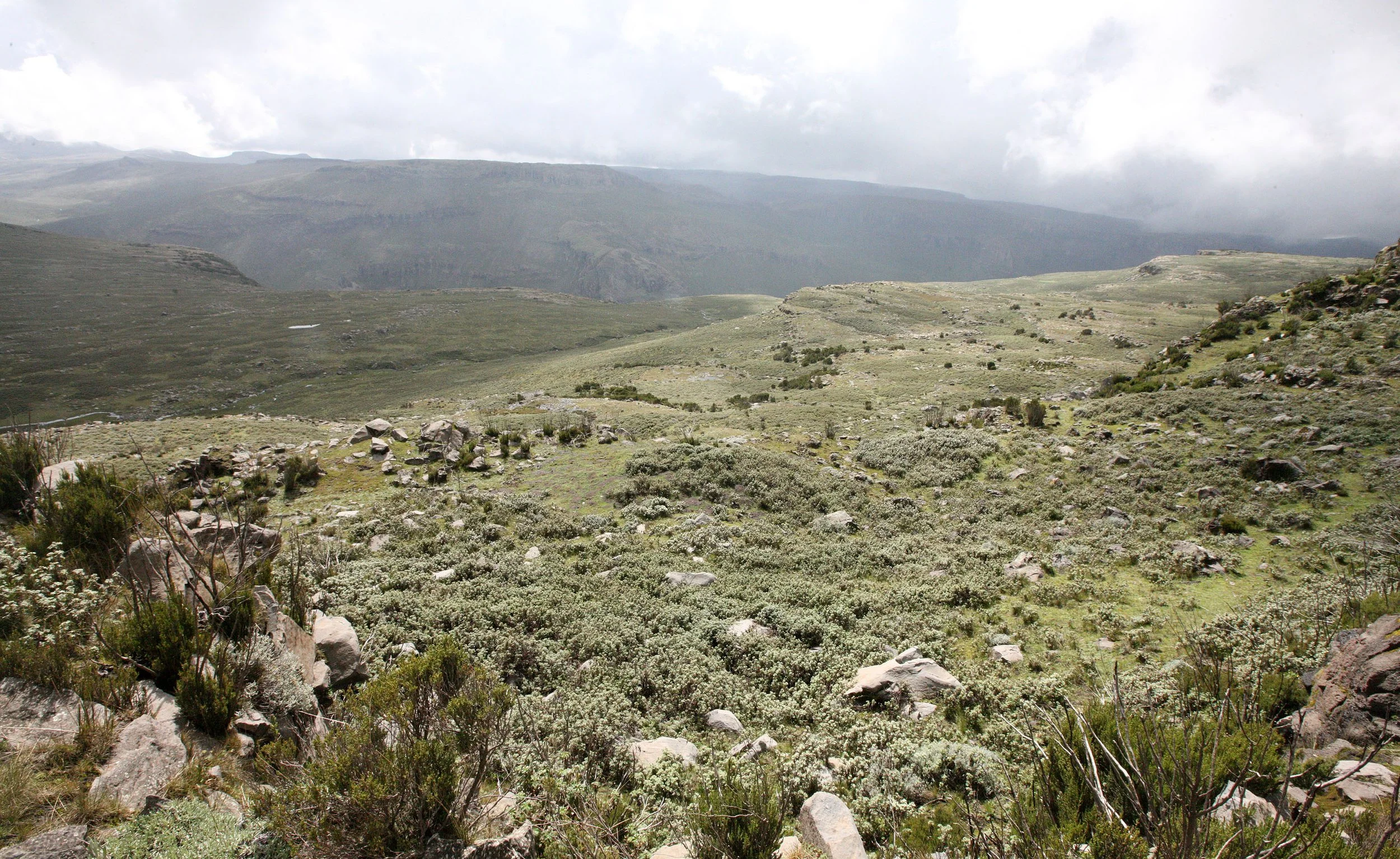 BALE MOUNTAINS NATIONAL PARK - SANETTI PLATEAU (33).JPG