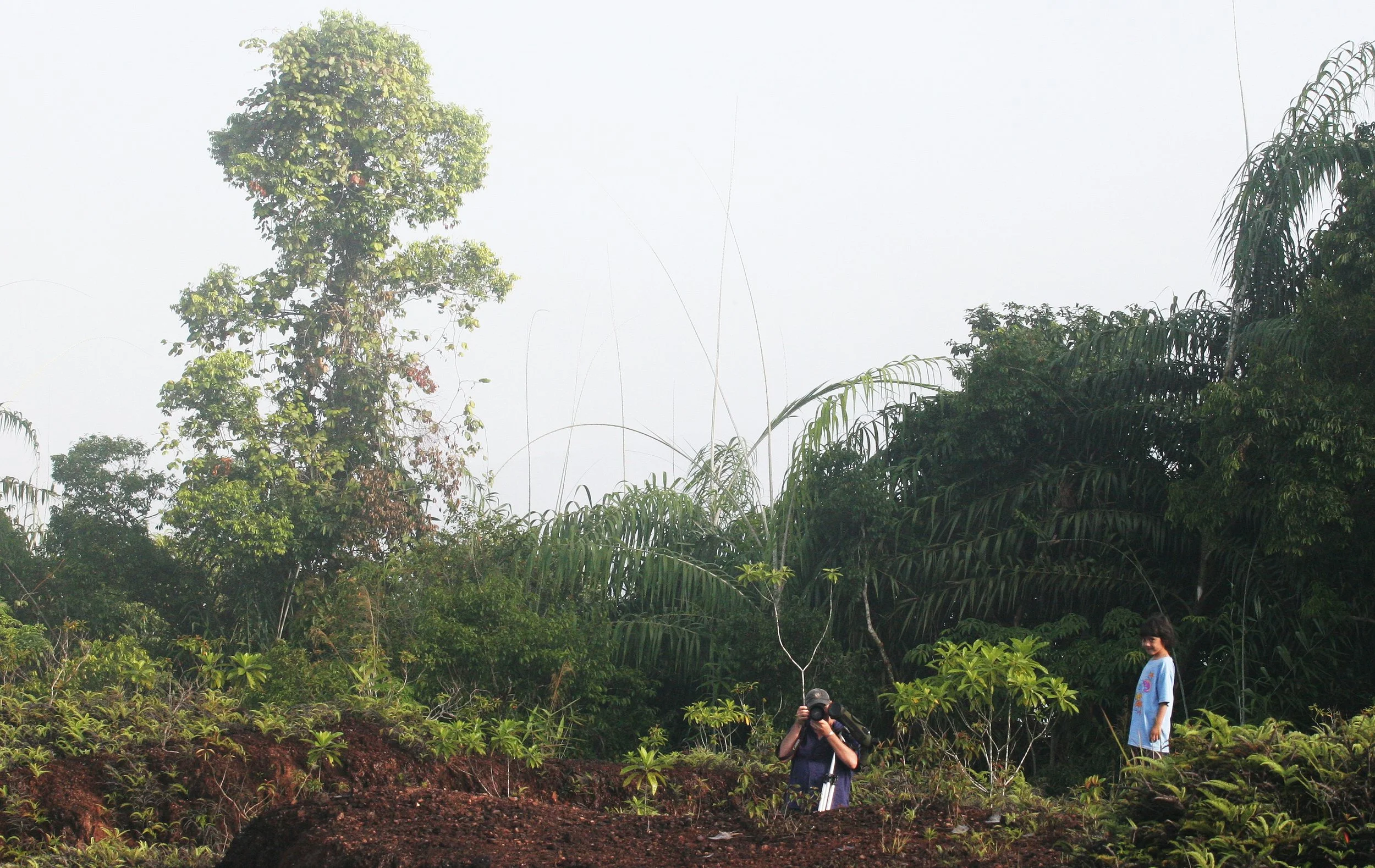 2008 Khao Luang NP Krung Chin Waterfalls Area (6).JPG