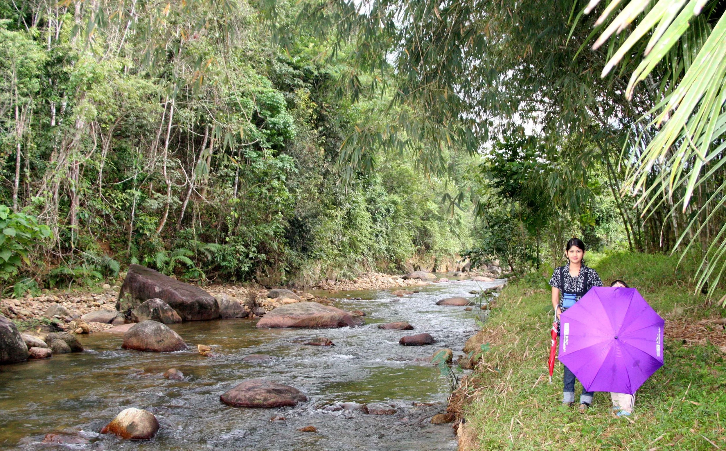 2009 Promluk Property Views (35).JPG