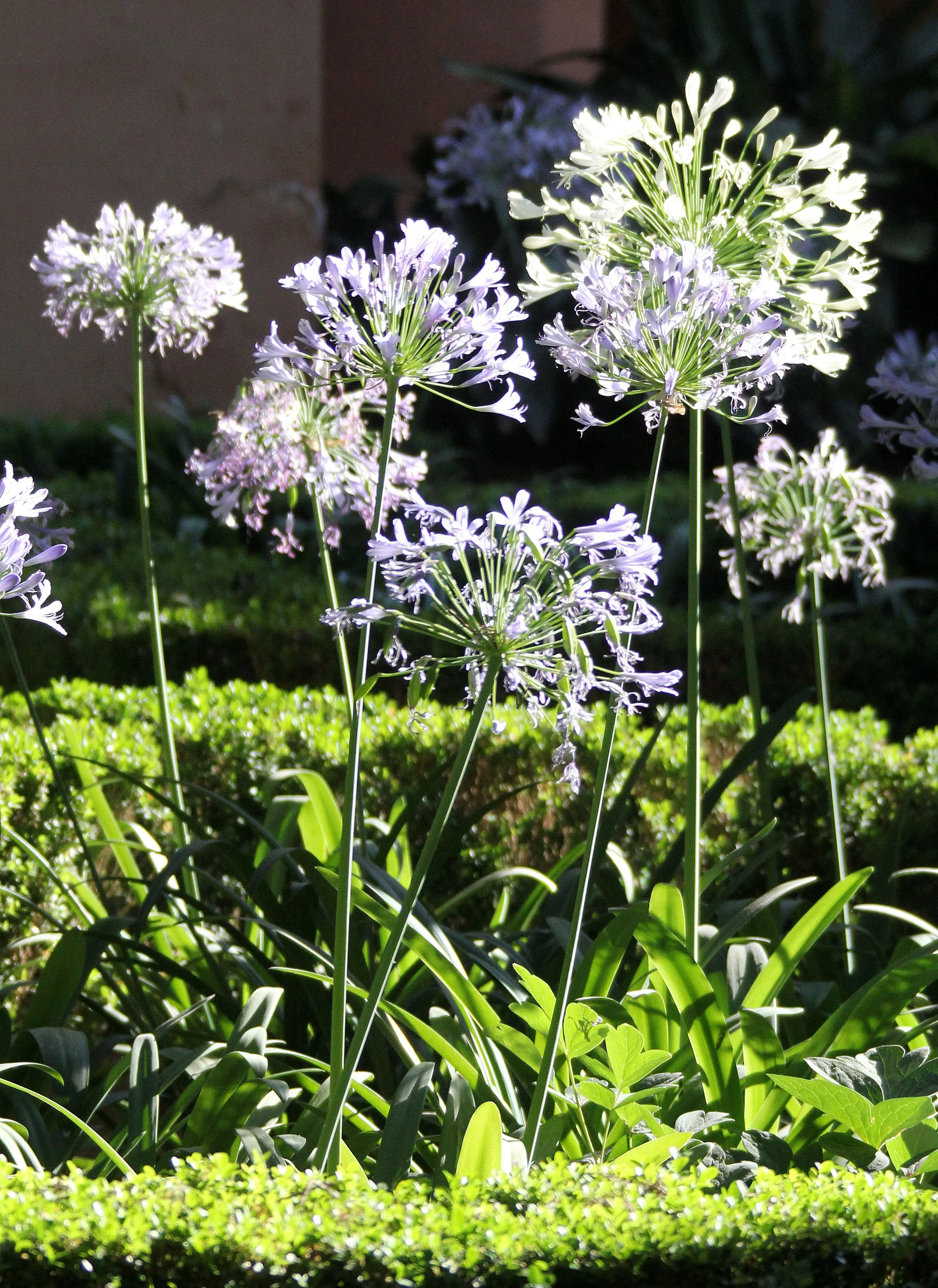 GRANADA SPAIN (56).JPG