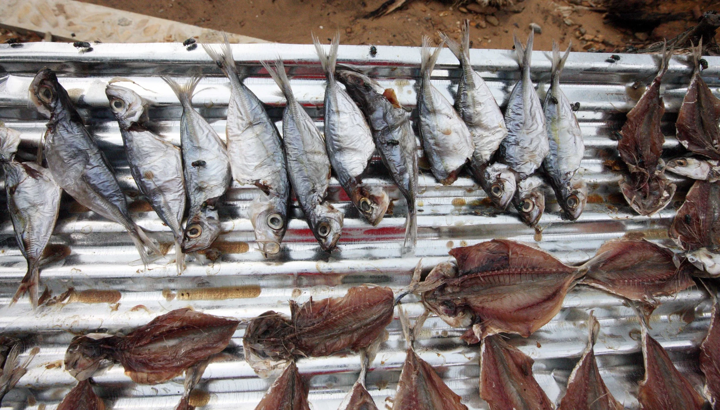 2015 Koh Lanta Songkran with friends from ISB (289).JPG