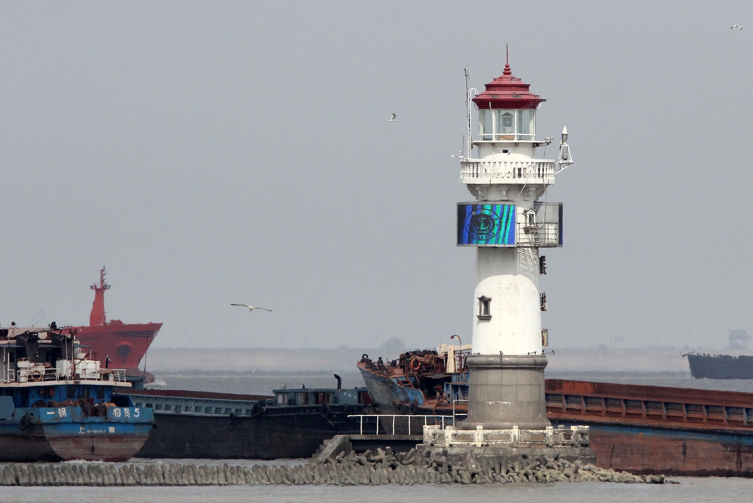 BINJIANG FOREST PARK SHANGHAI (7).JPG