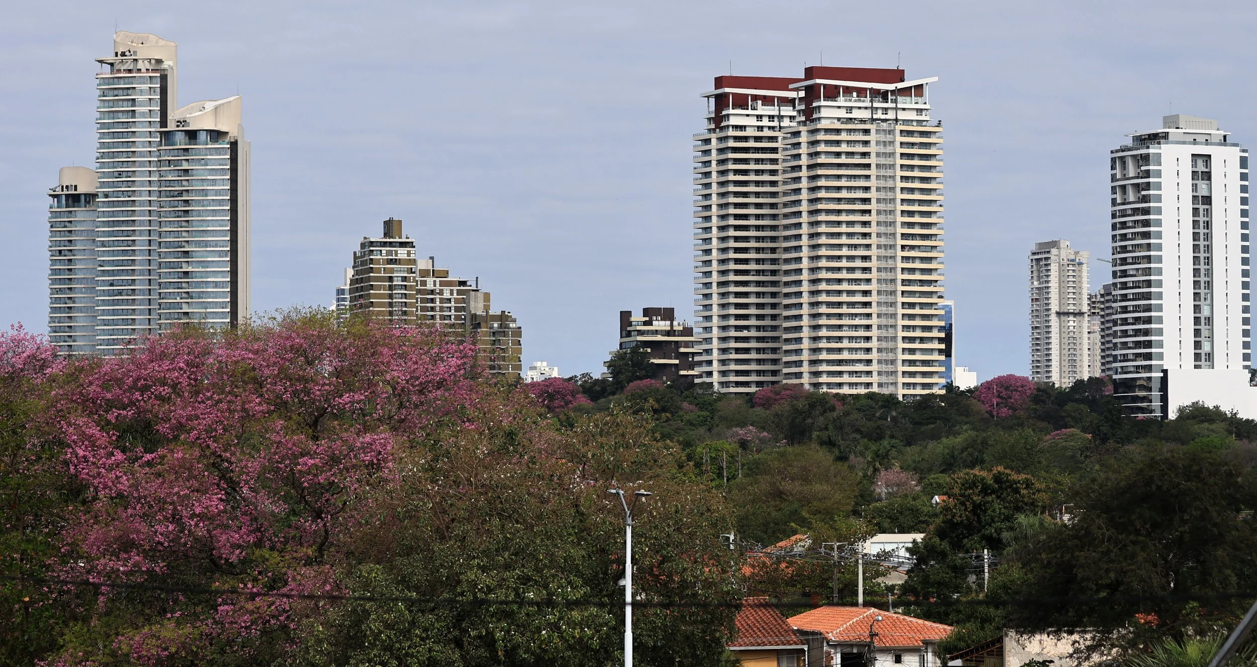 Asuncion Paraguay (26).jpg