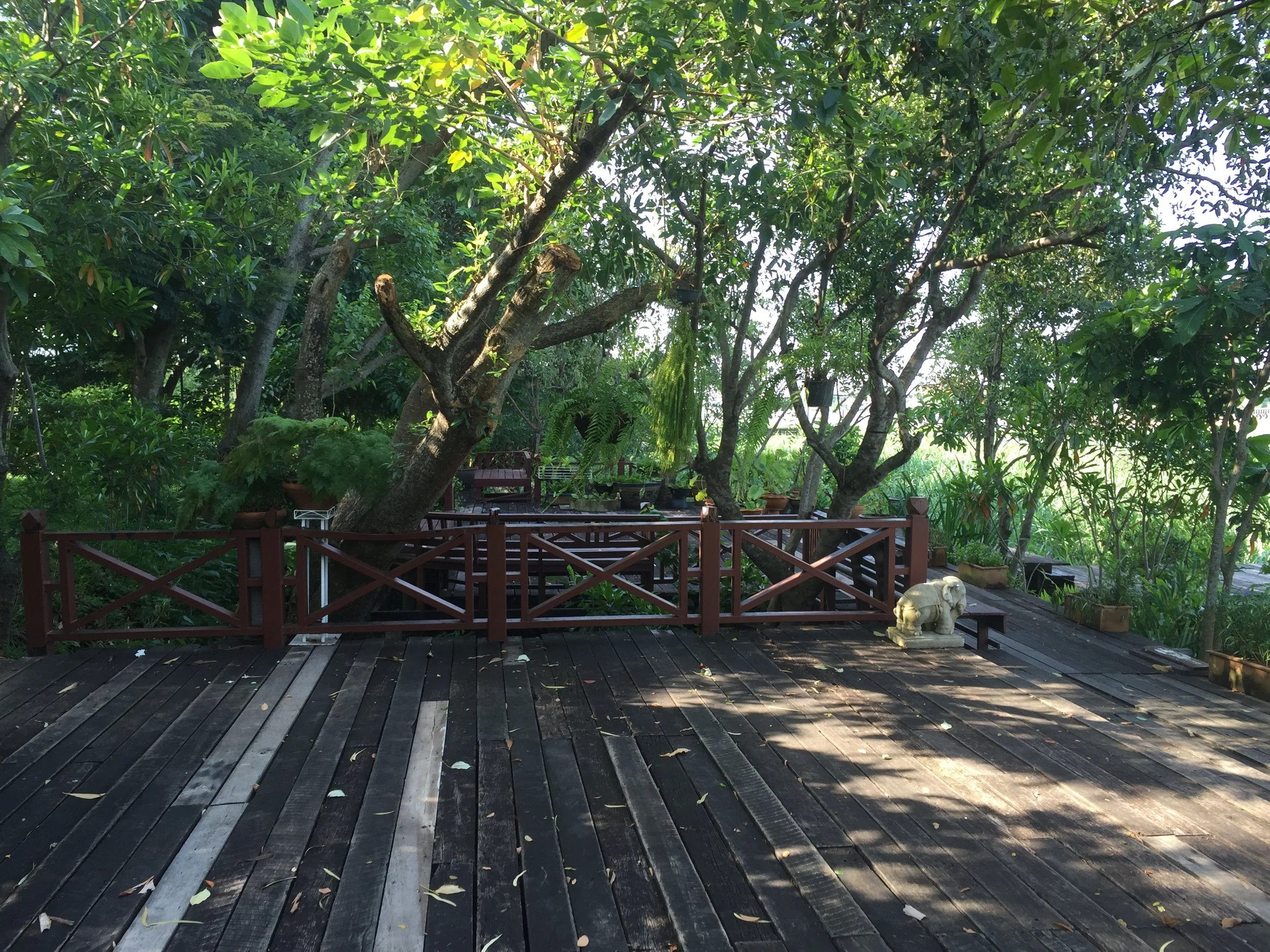 BKK - RIDE TO SUAN THIP PAKKRET FALL 2015 (9).JPG