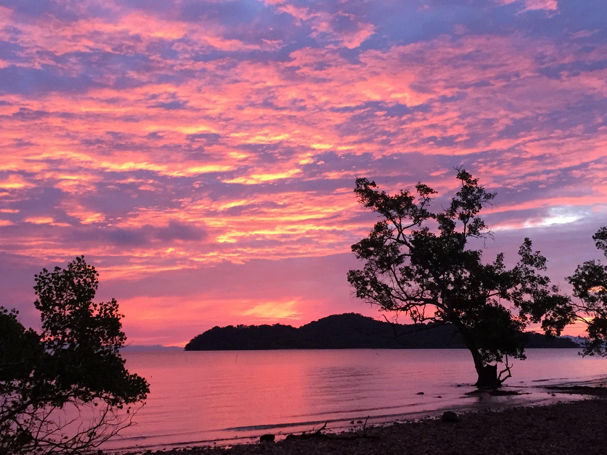 2015 Koh Lanta Garden & Nature (291).JPG