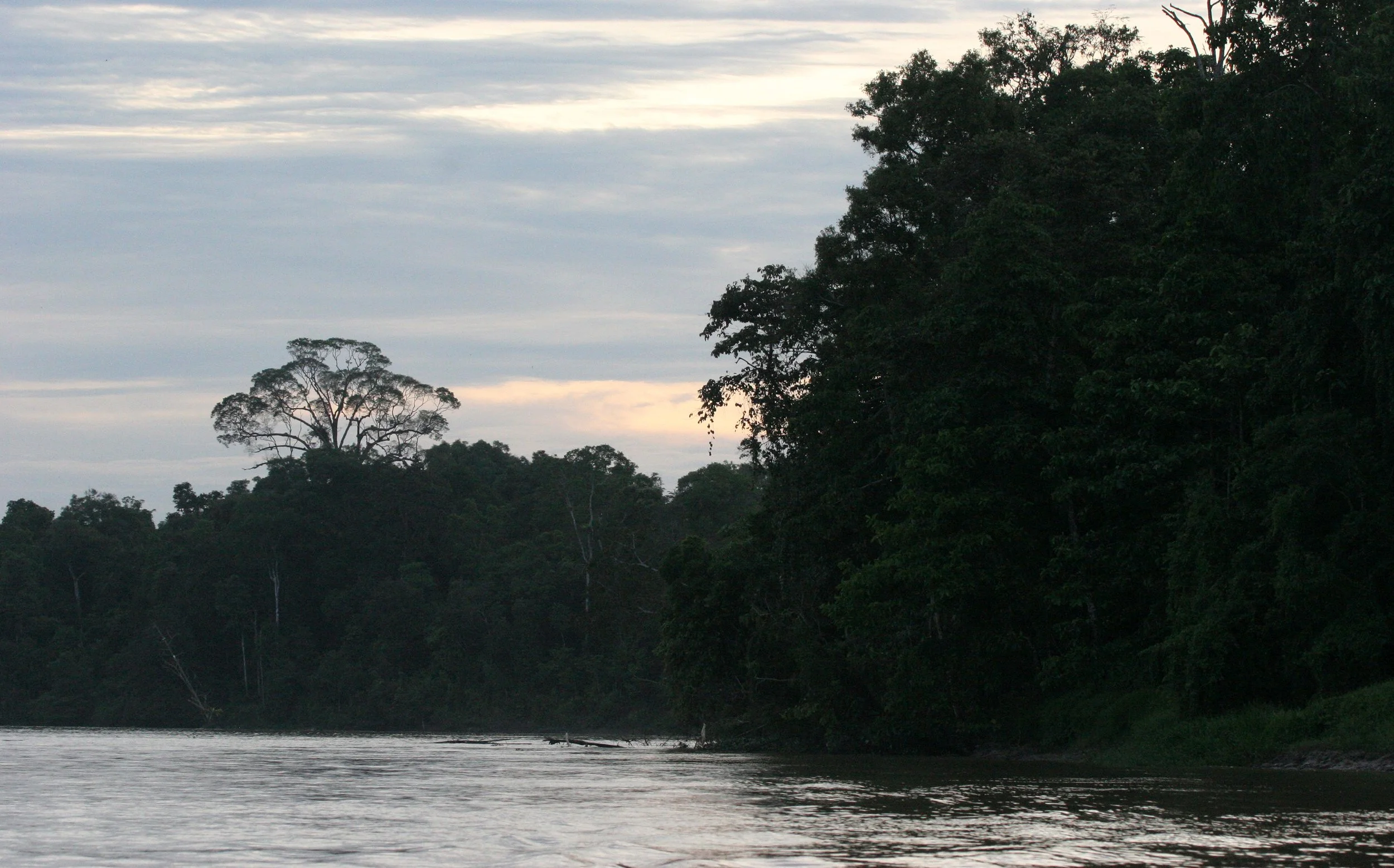 KINABATANGAN RIVER BORNEO - RIVER SCENES.JPG