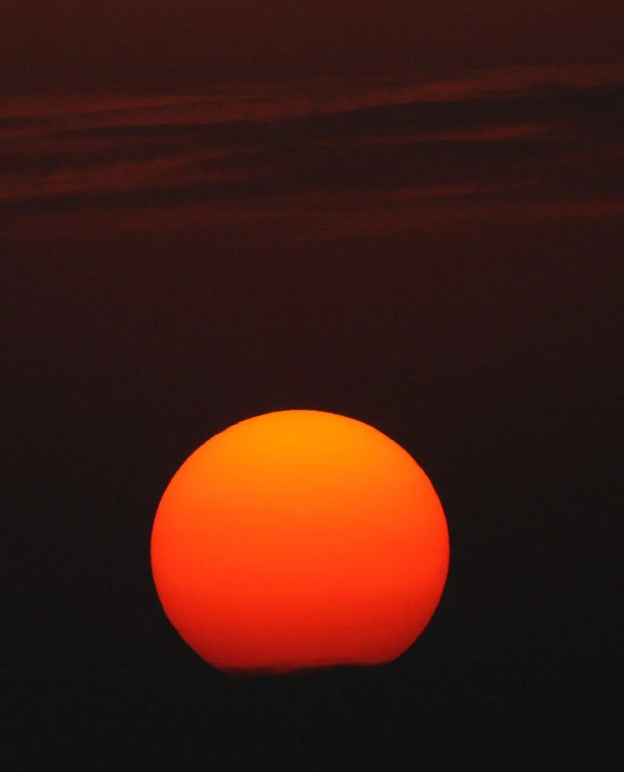 NANJI HILL RESERVE - POYANG LAKE CHINA (8).JPG
