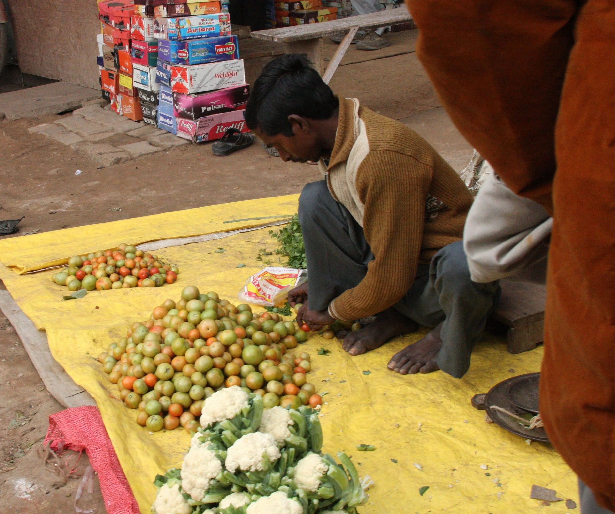 CHAMBAL RIVER SANCTUARY INDIA (30).JPG