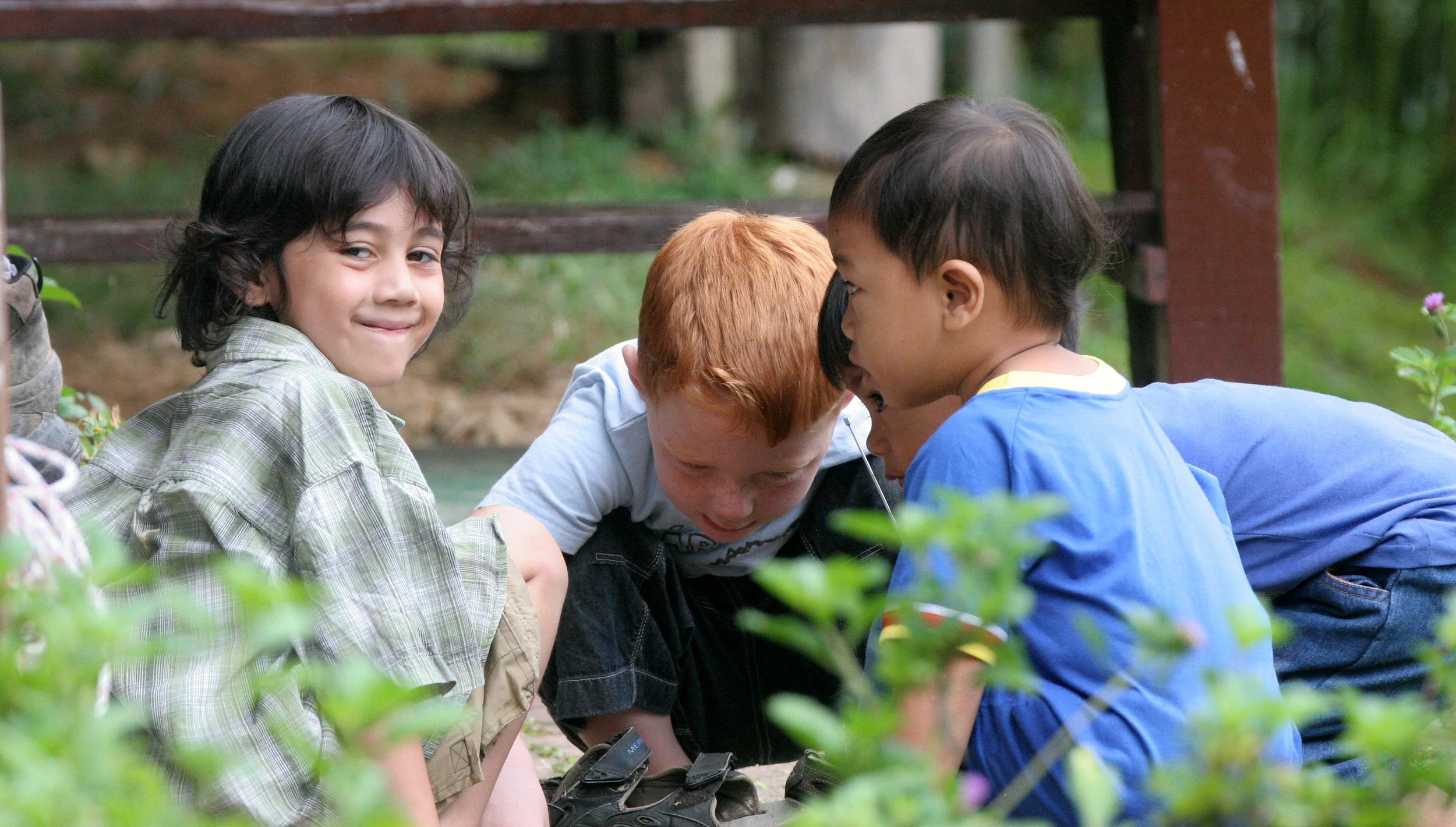DANUM VALLEY - COKIES FRIENDS.JPG