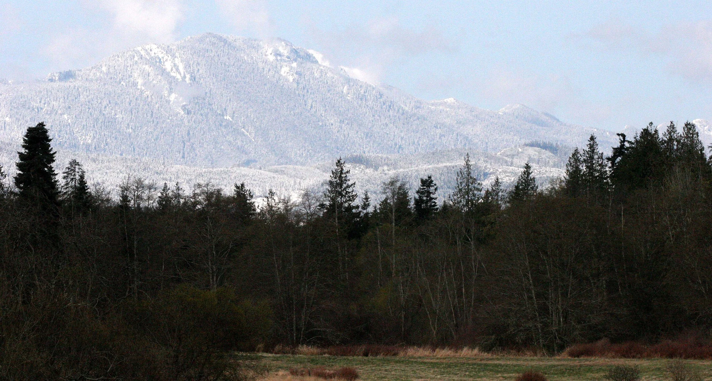 KLAHANE RIDGE FROM LAKE FARM  (14).JPG