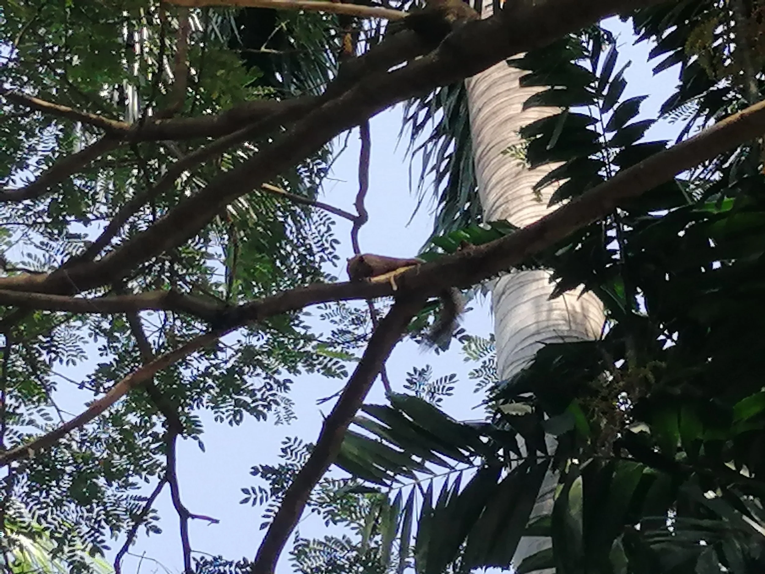 2019 Nakhon Pathom Trip Temples with Cokie (22).jpg