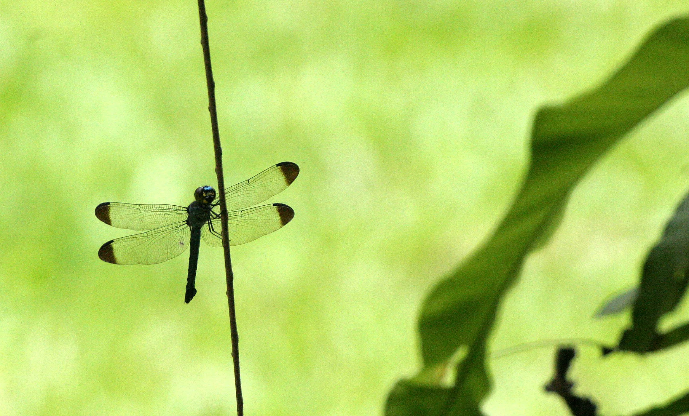 No Loation Data Available