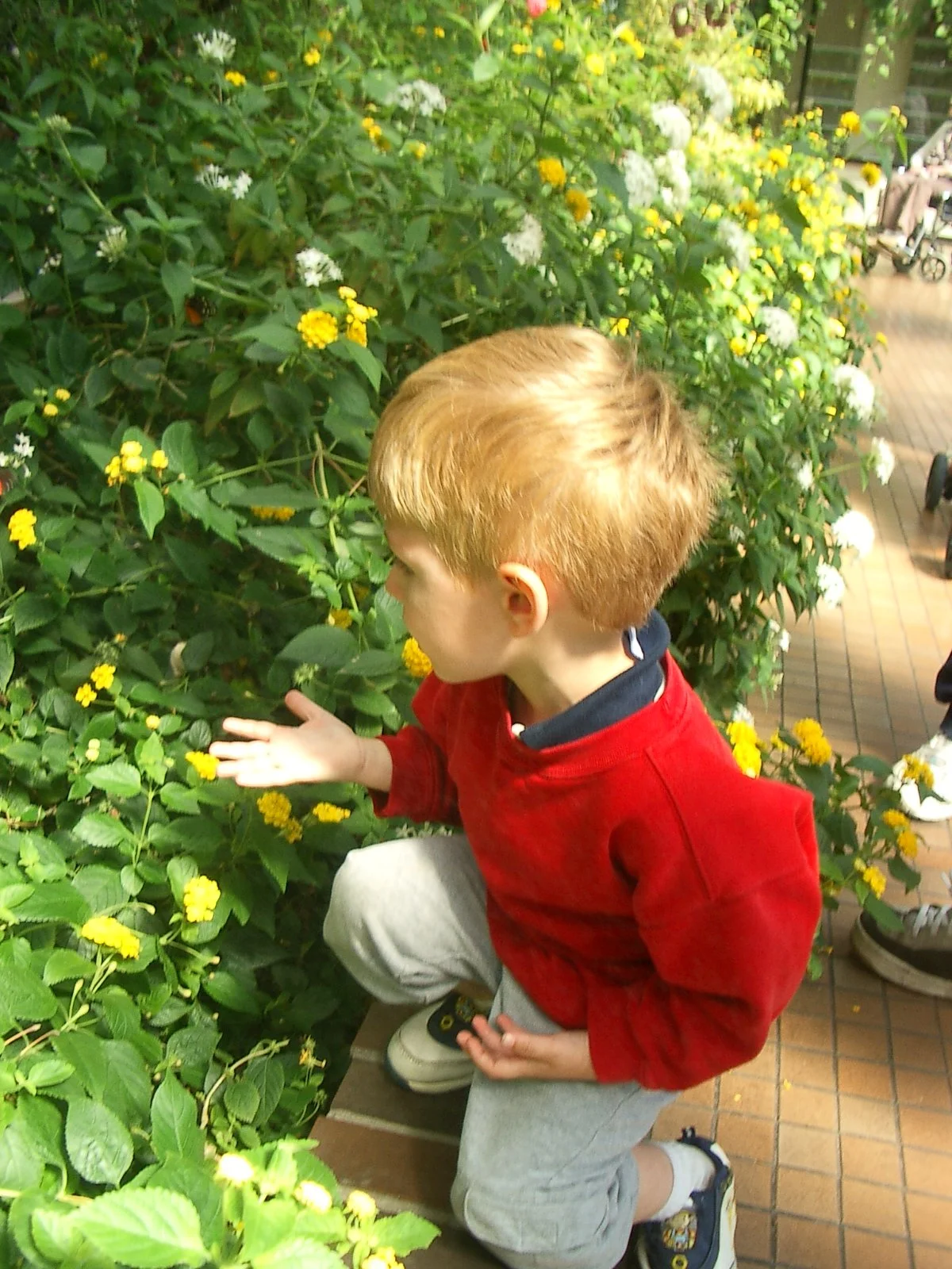 2003-7-31 FAMILY REUNION IN WASHINGTON AND CANADA (189).JPG
