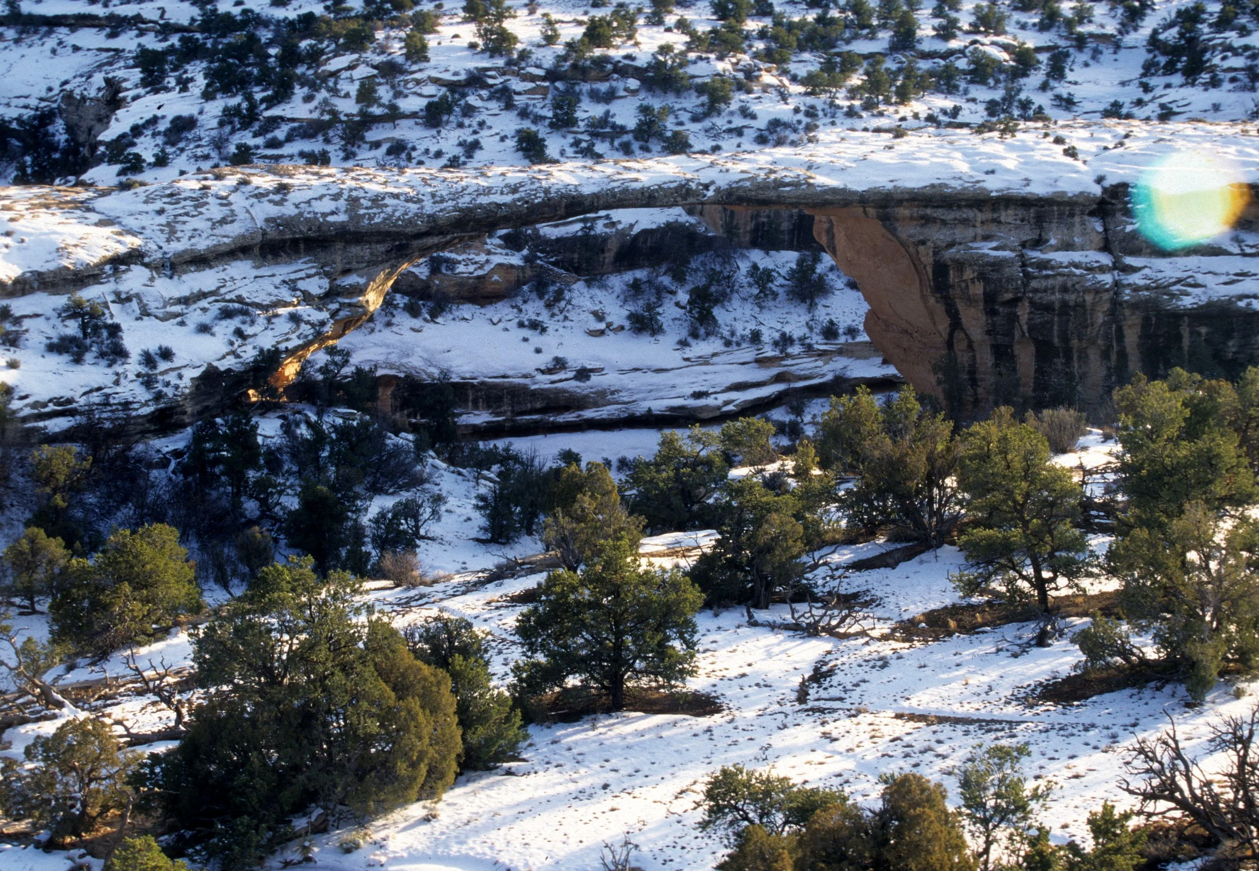 UTAH - NATURAL BRIDGES NM E.jpg
