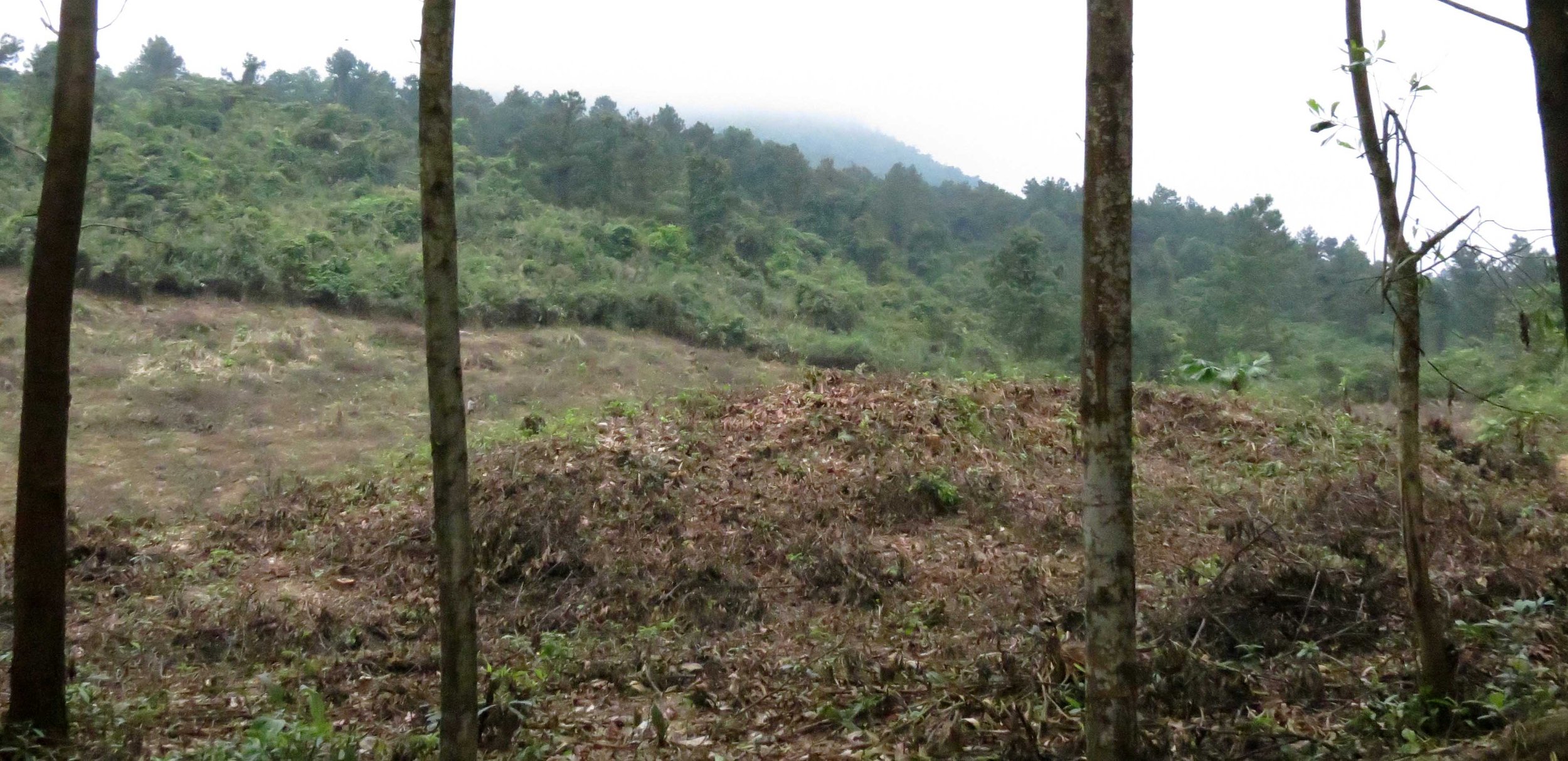BACH MA NATIONAL PARK AND VICINITY VIET NAM (3).JPG