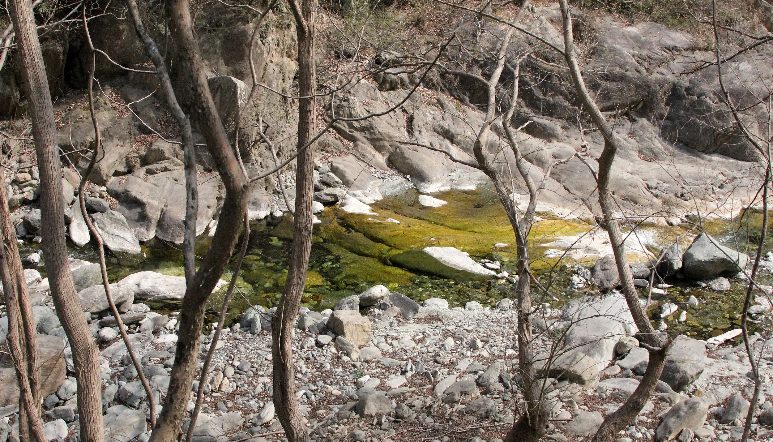 TANGJIAHE NATURE RESERVE, SICHUAN CHINA (48).JPG