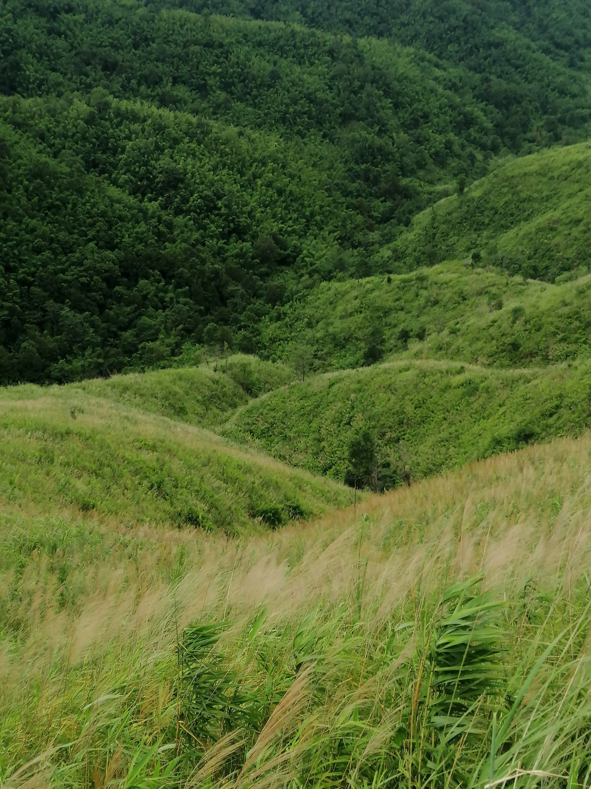 2021 Chong Yen and Surrounding Countryside (45).jpg
