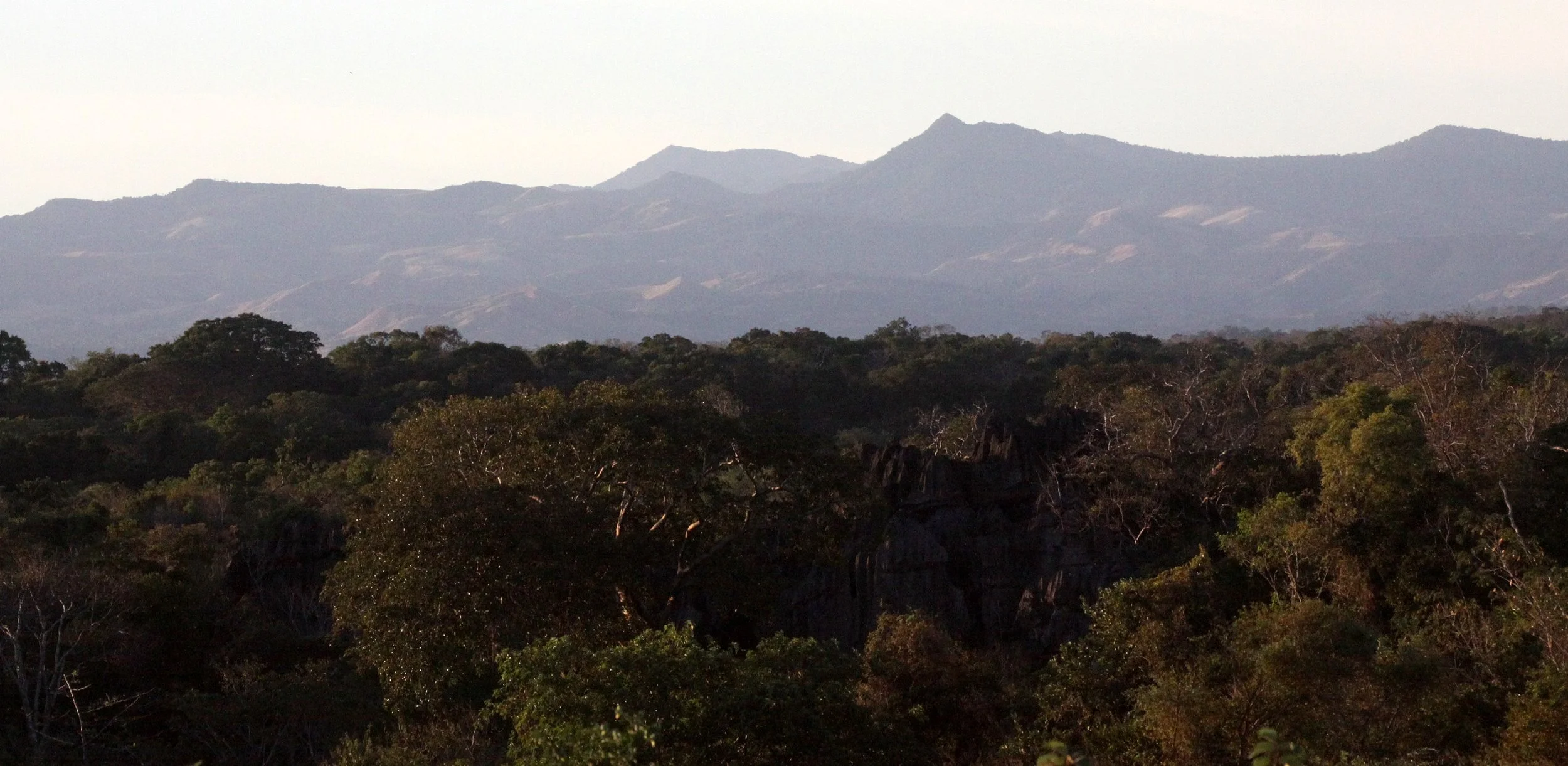 MONTAGNE D'AMBRE NATIONAL PARK.JPG