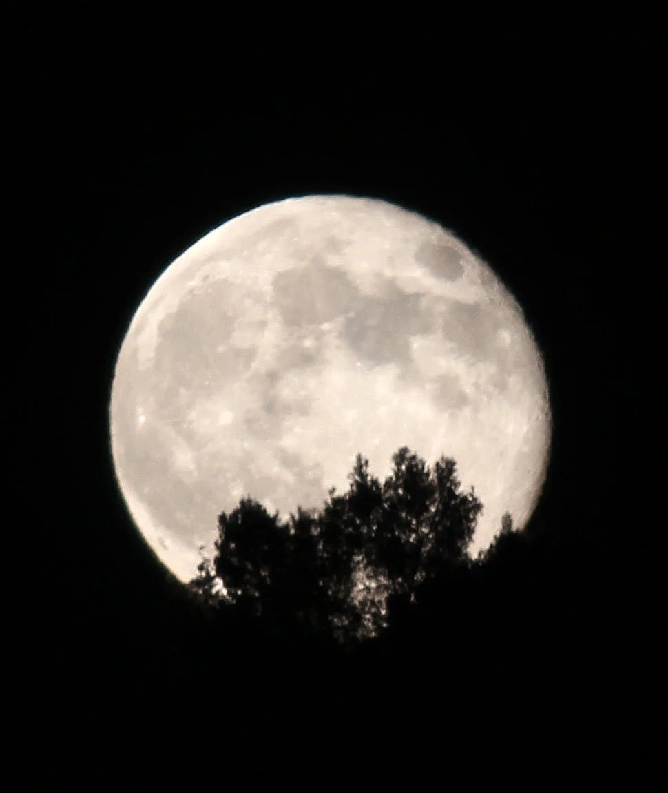 GRANADA SPAIN (116).JPG